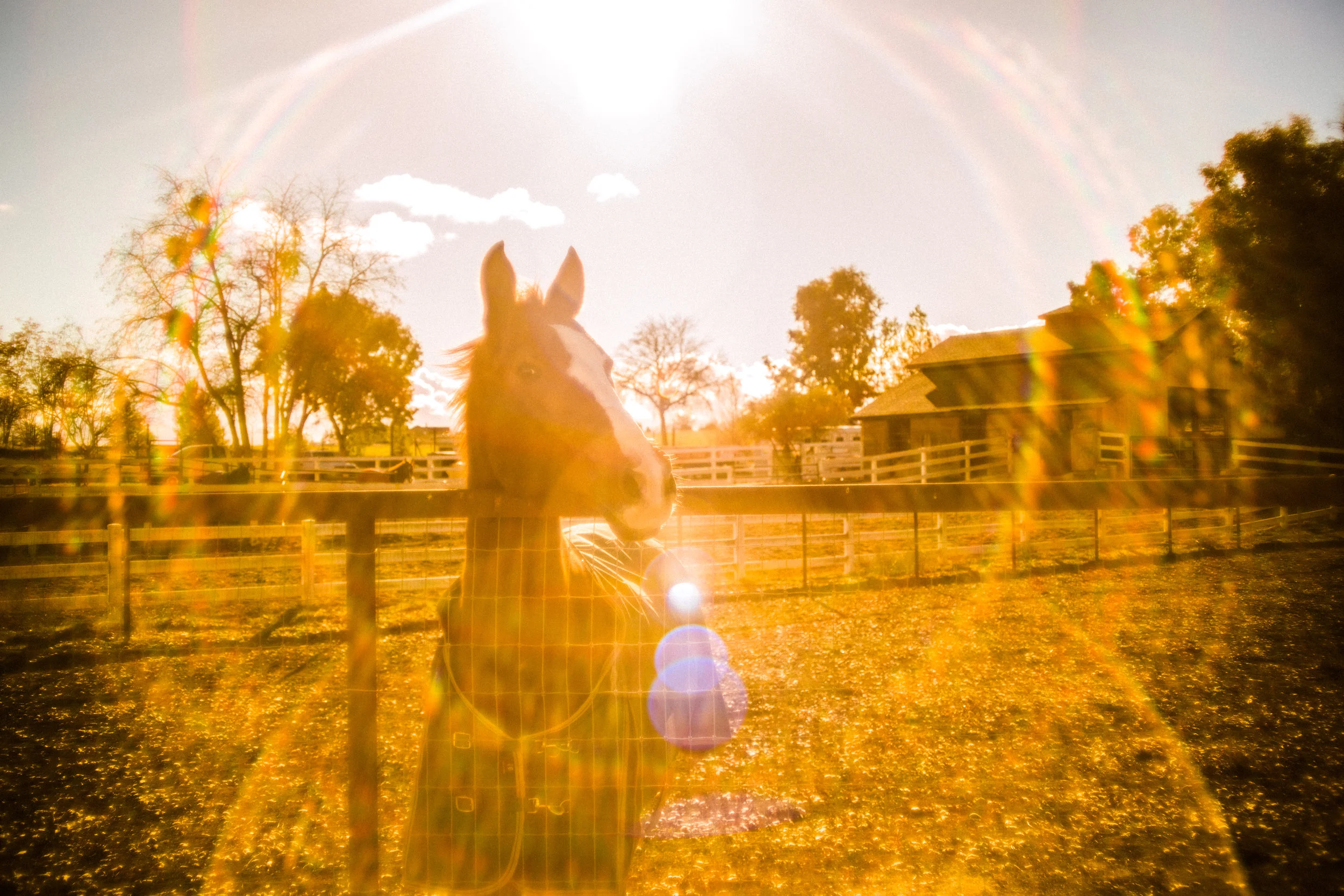 Paso Robles, California