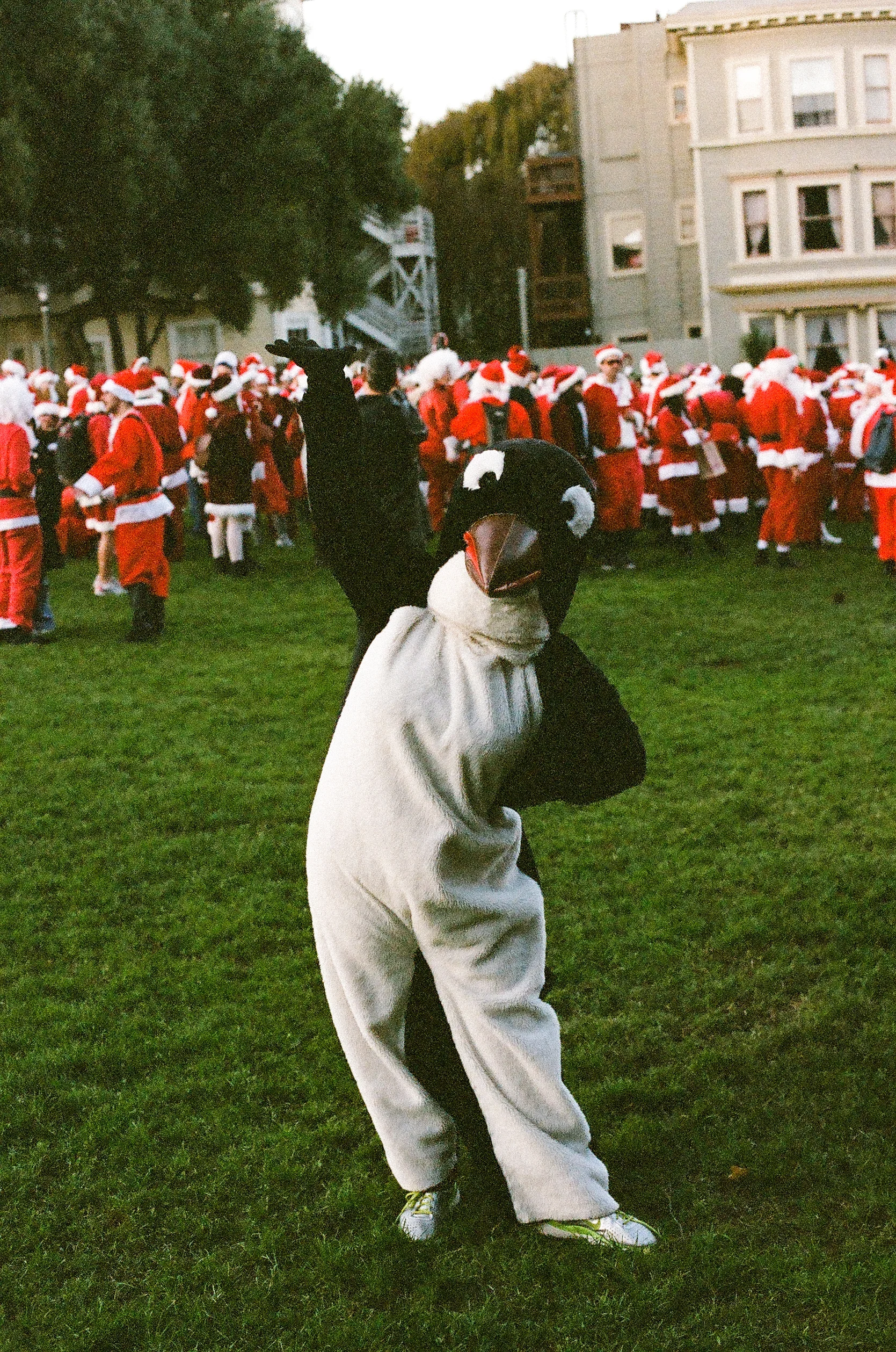 Duboce Park