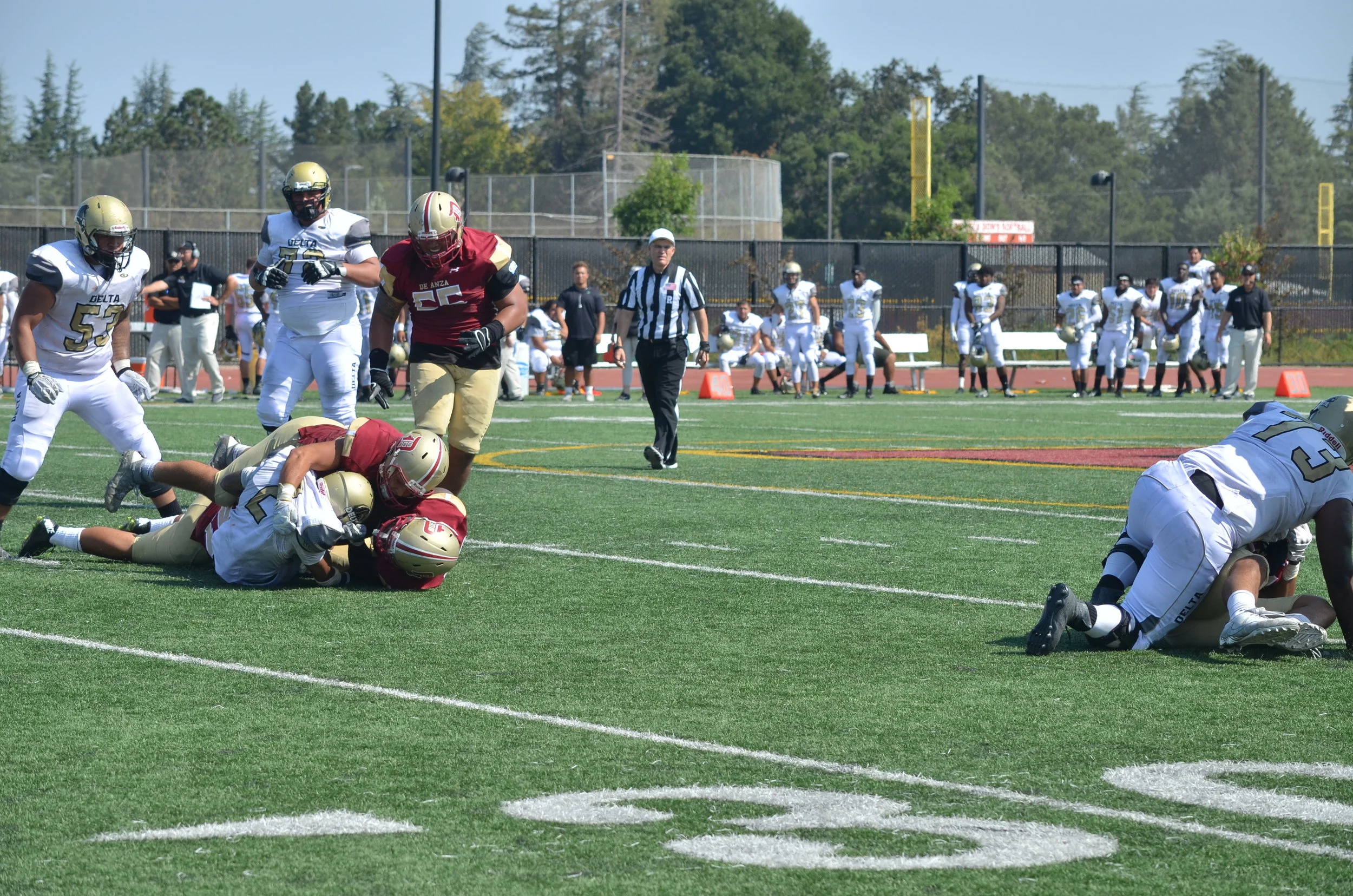 DSC_0030.JPG