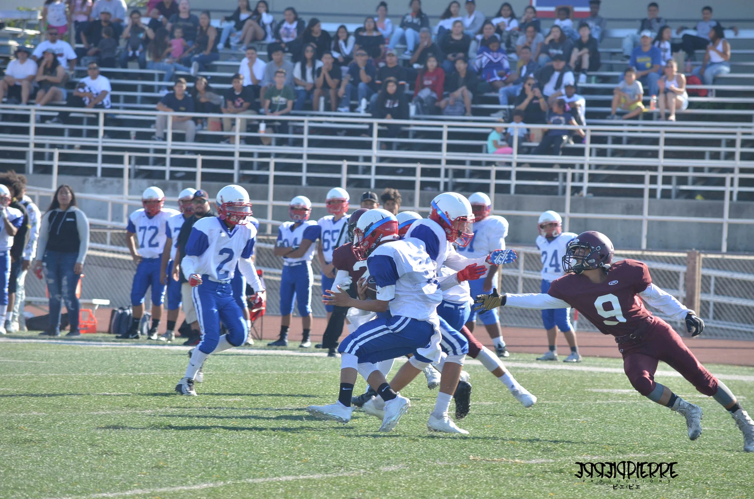 DSC_0062.jpg