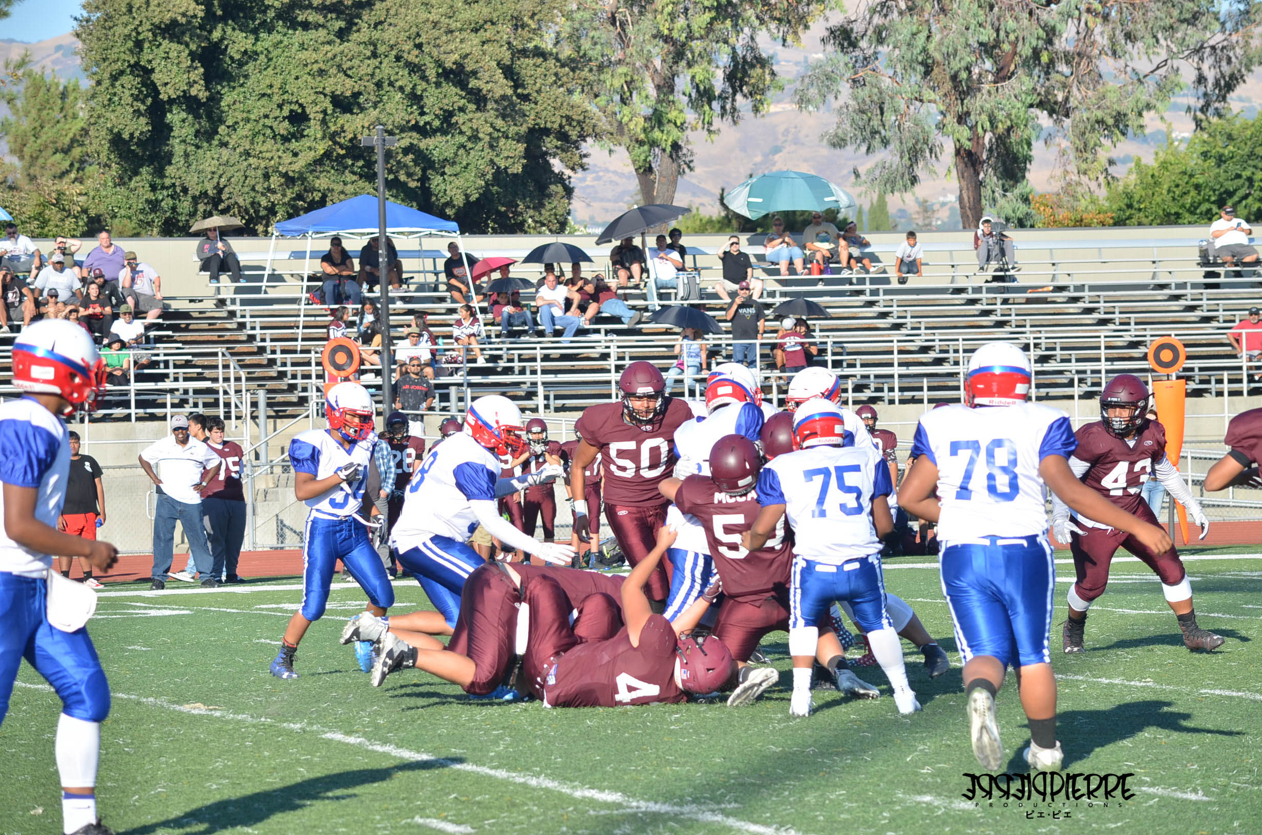 DSC_0335.jpg