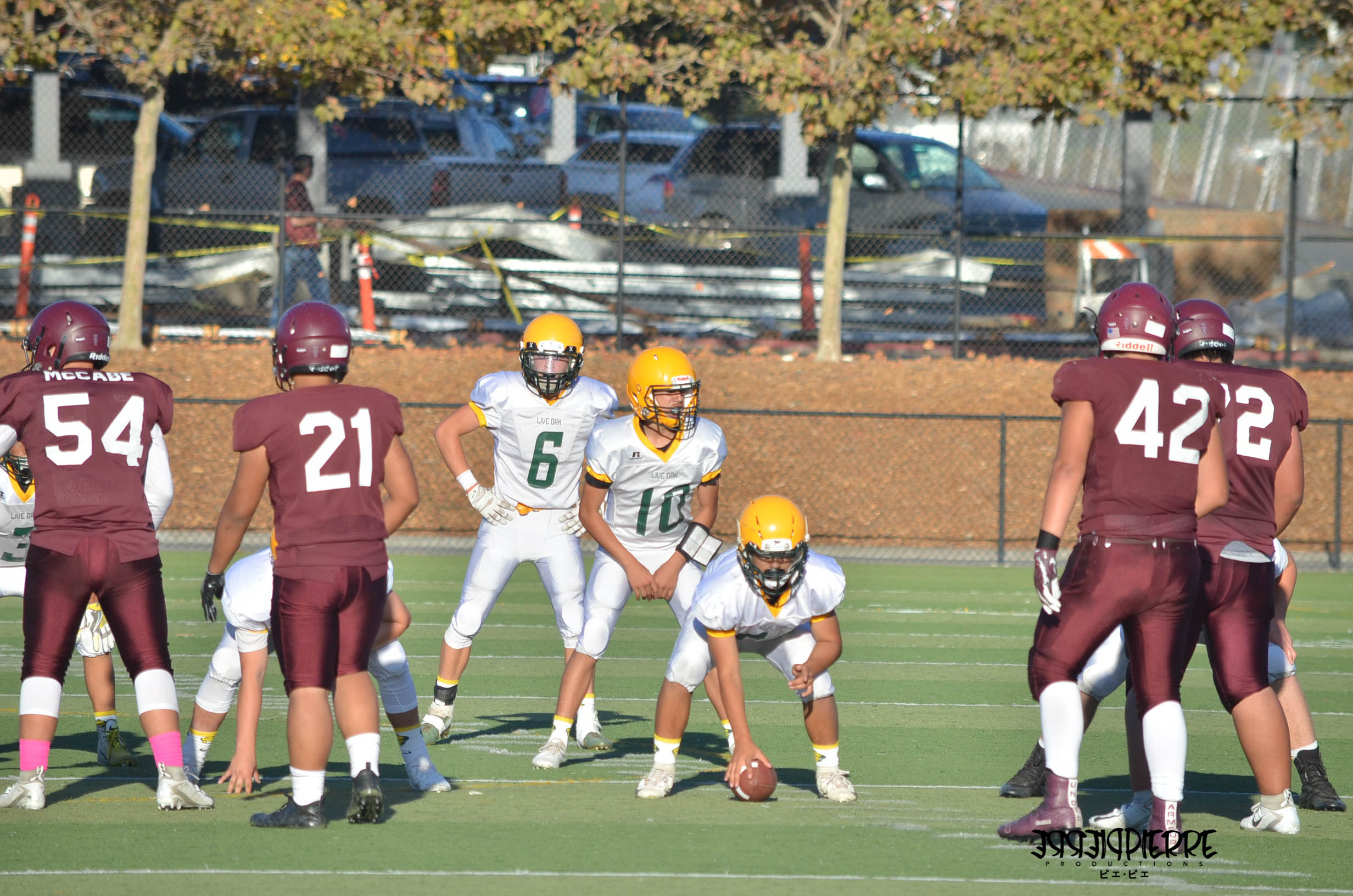 DSC_0212.jpg