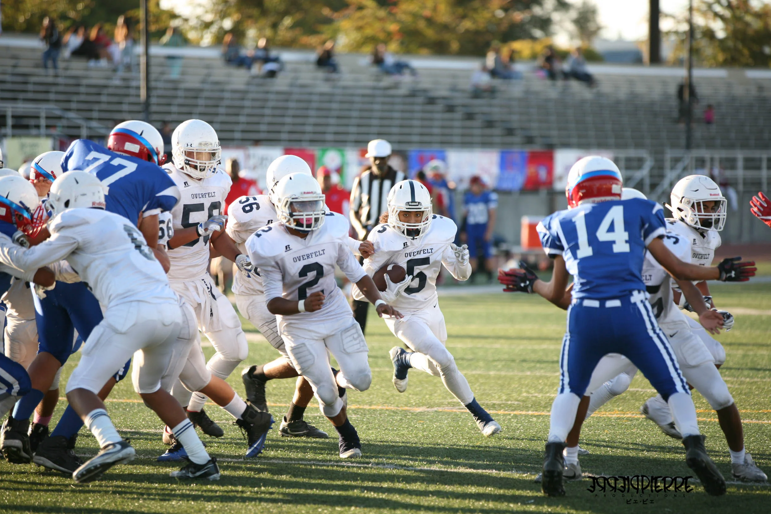 IMG_2727.jpg