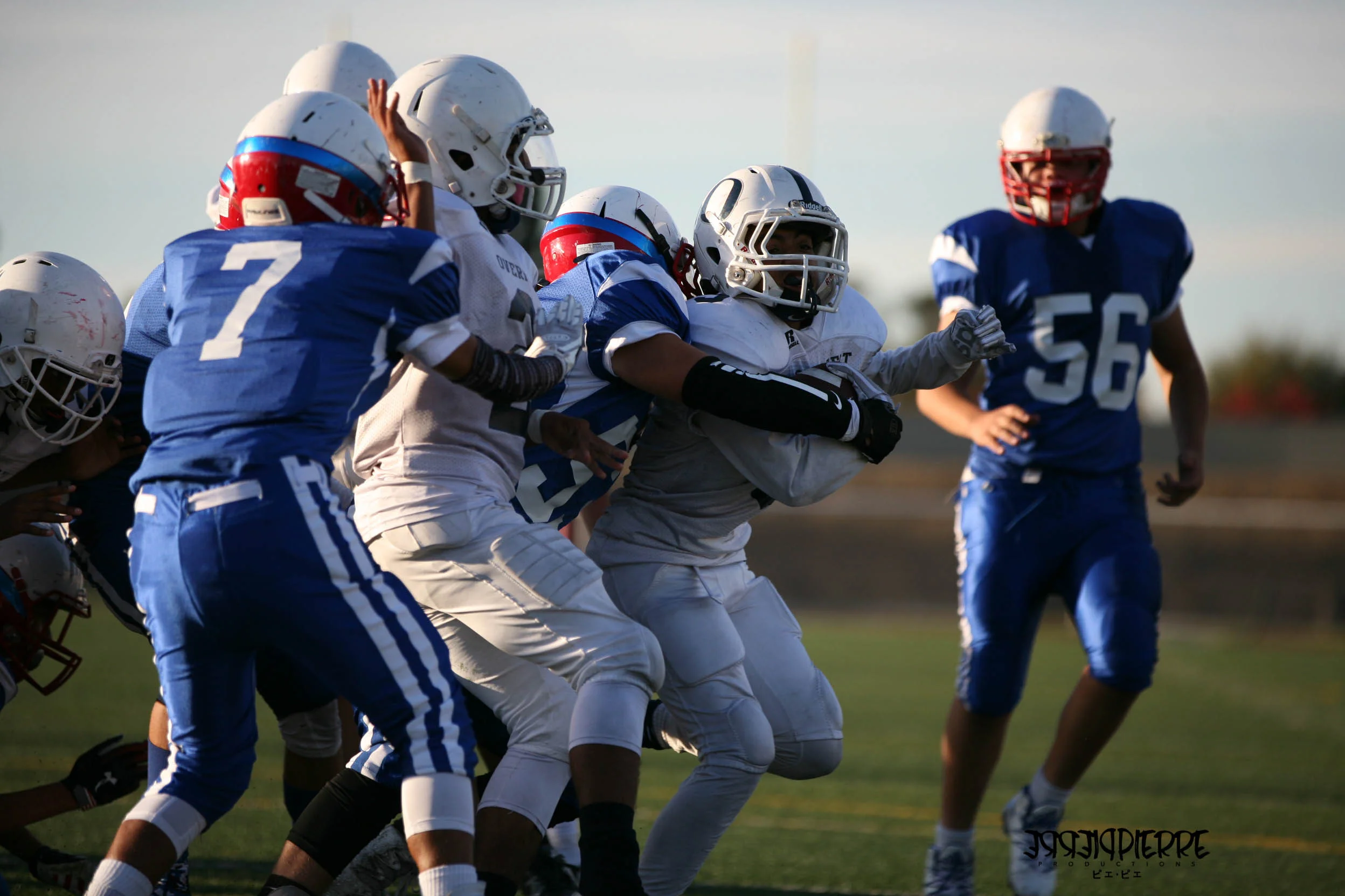 IMG_2817.jpg