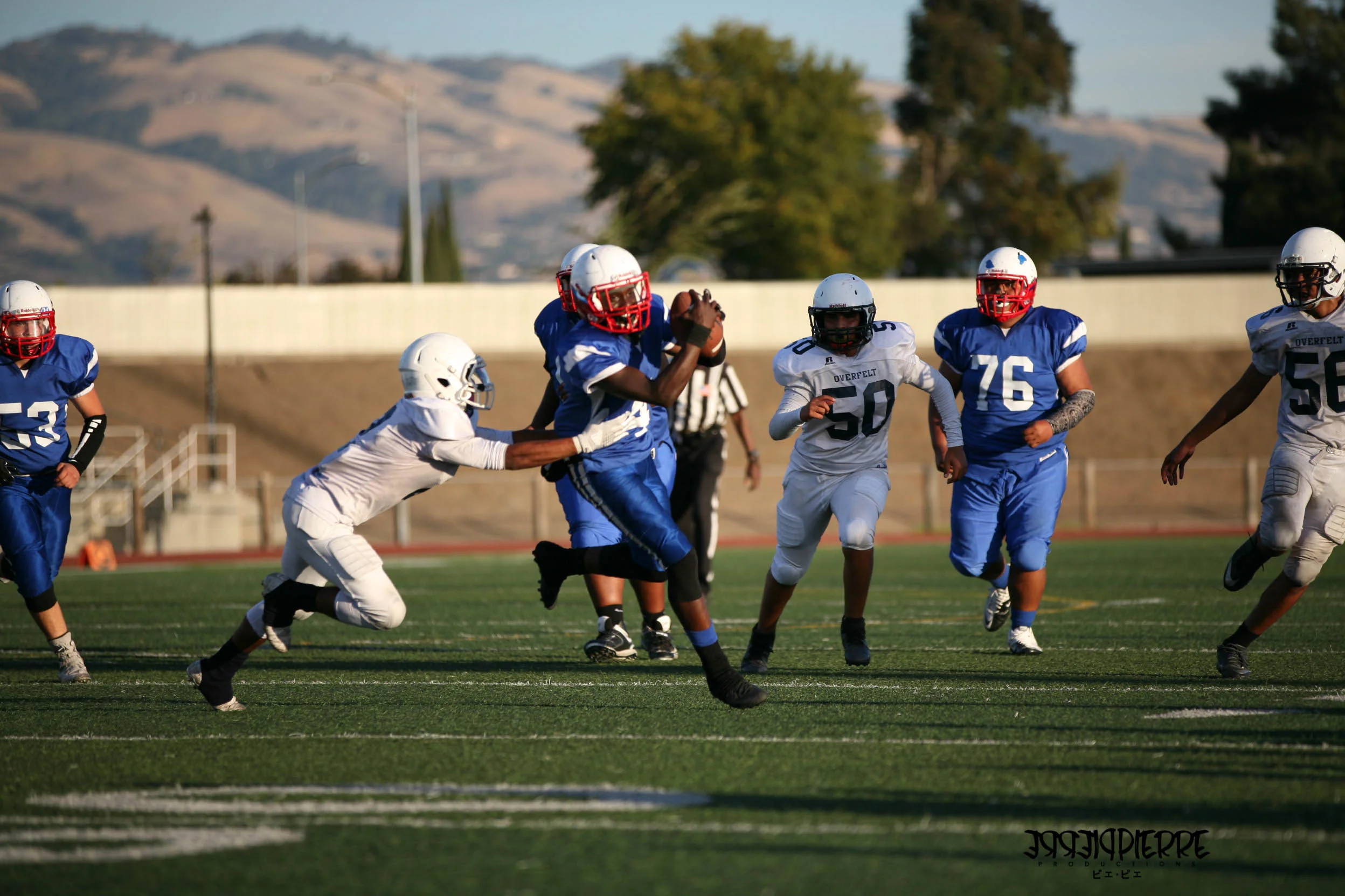 IMG_2878.jpg