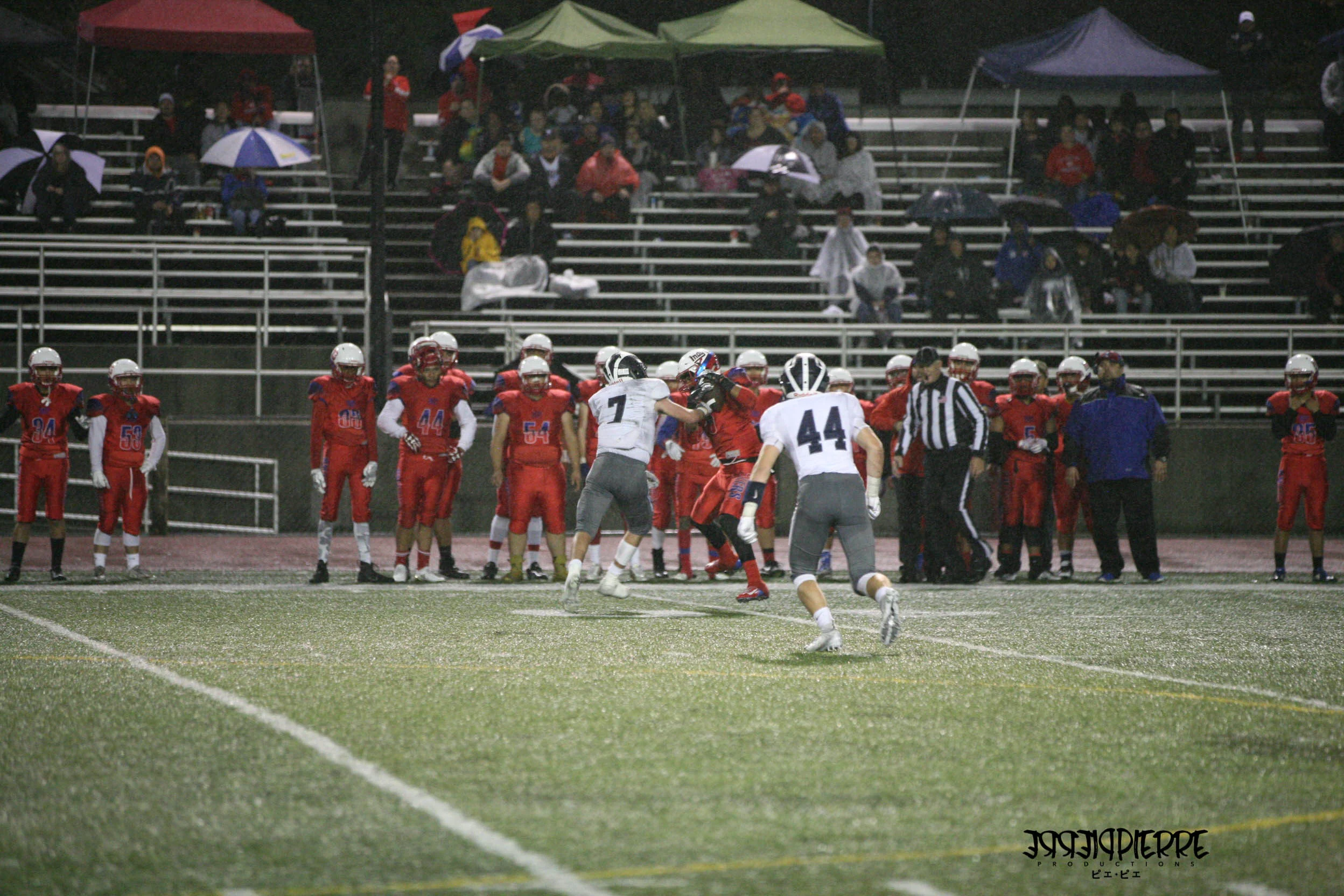 IMG_7555.jpg