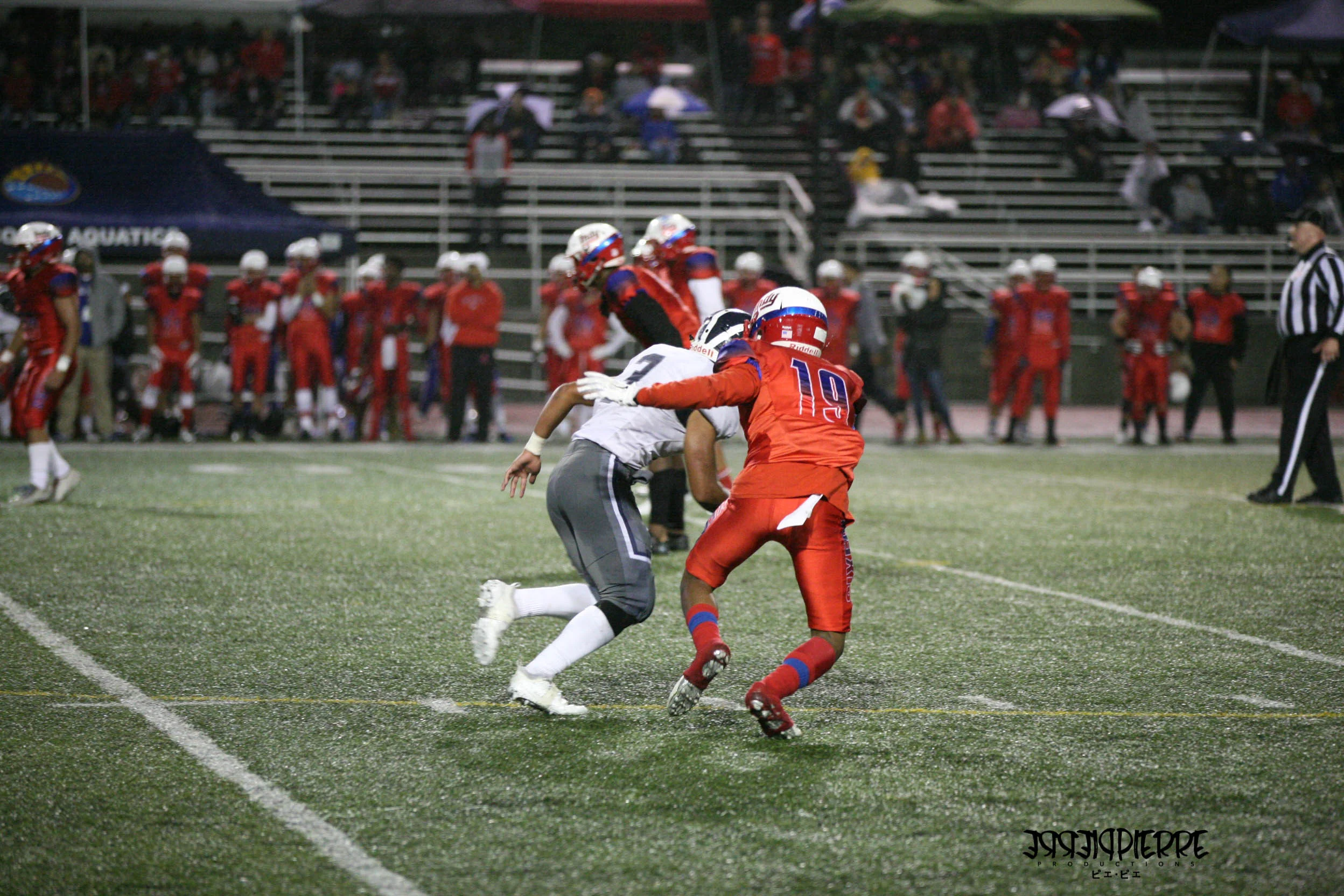 IMG_7641.jpg