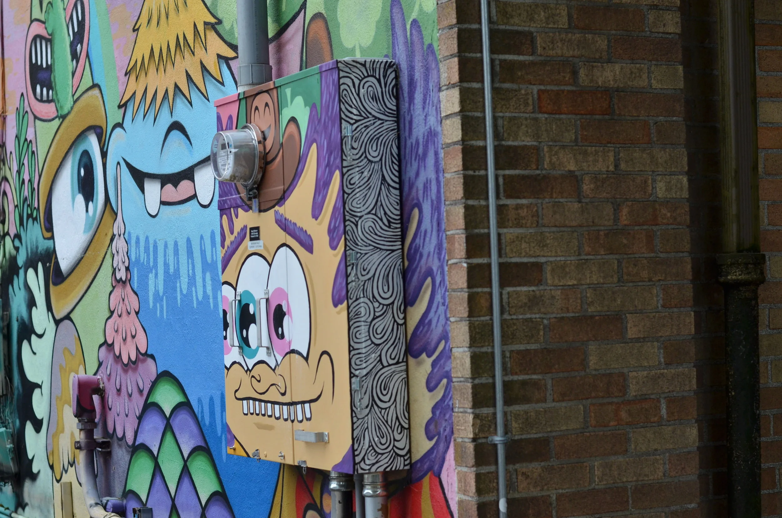 DSC_0710.JPG