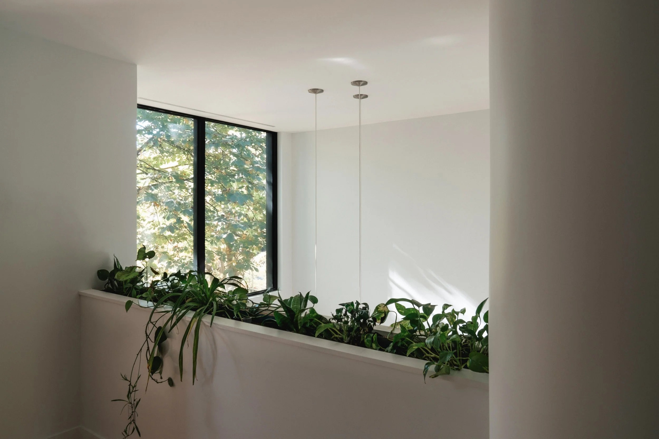 1ere_07579_RThibodeau FV.jpg