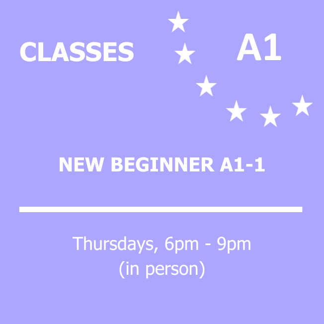 NEW BEGINNER A1-1 (2).png