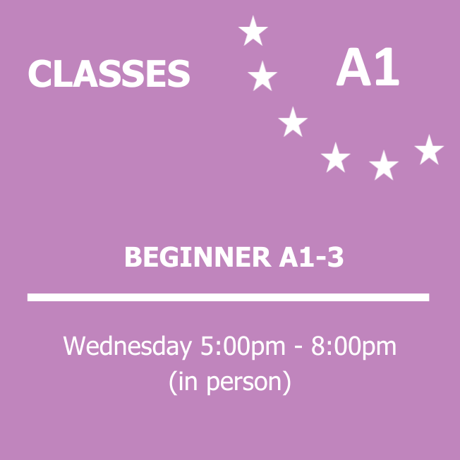 BEGINNER A1-3A1-2.png