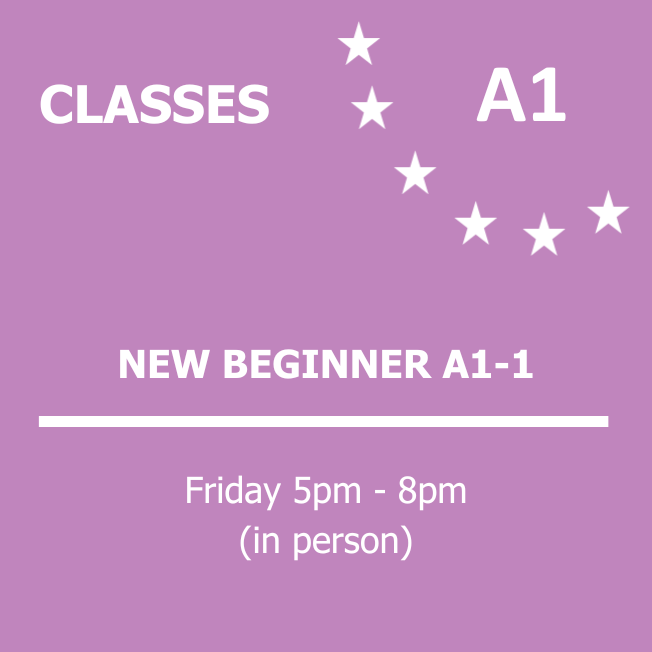 NEW BEGINNER A1-1 (2).png