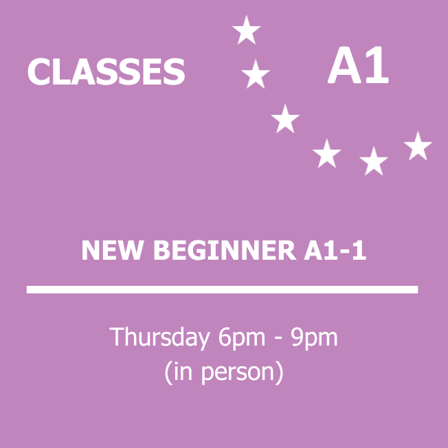 NEW BEGINNER A1-1.png