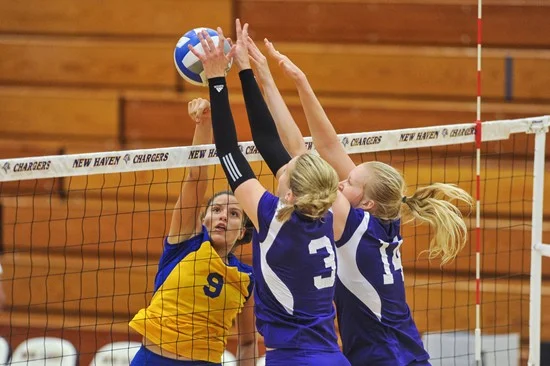 Volley.jpg