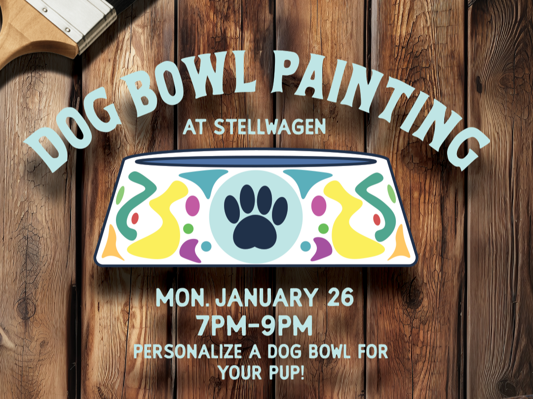 Dog Bowl Paint Night