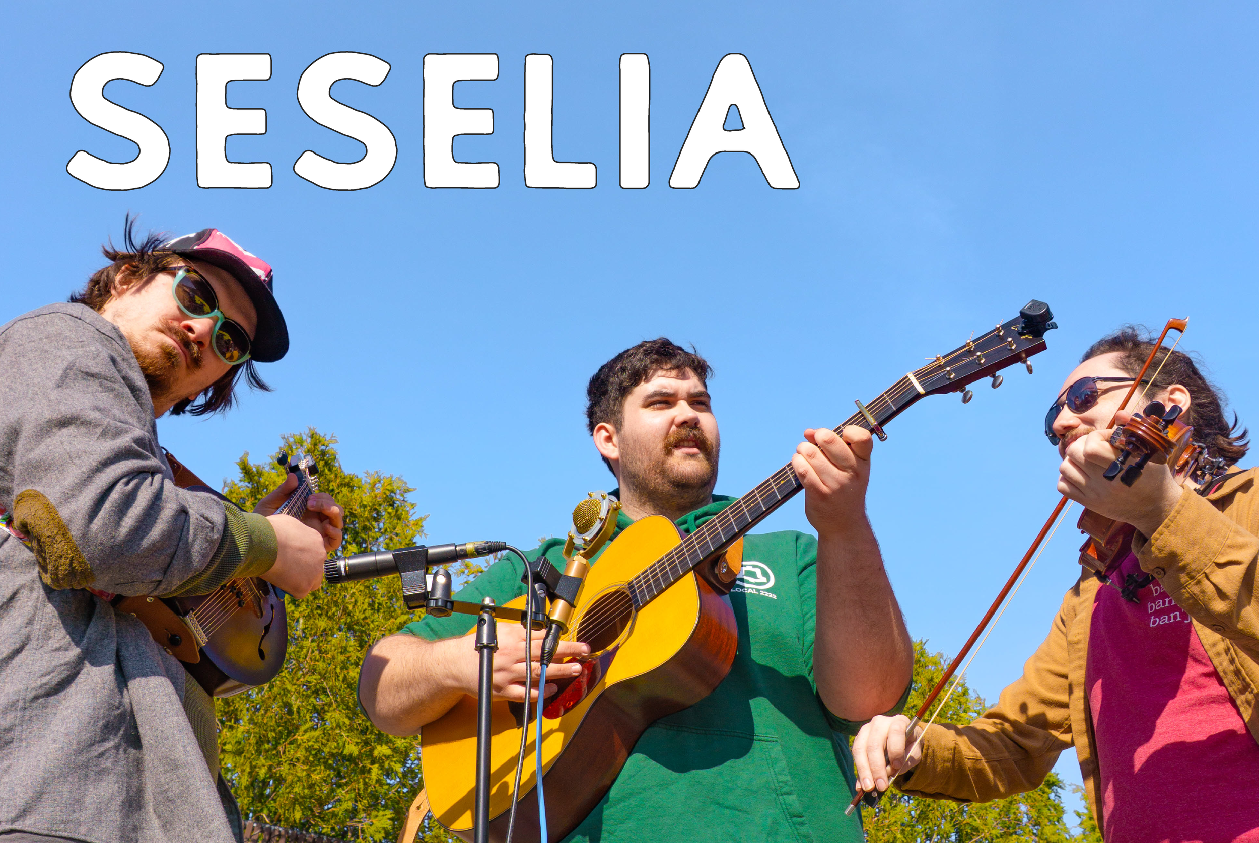 Seselia