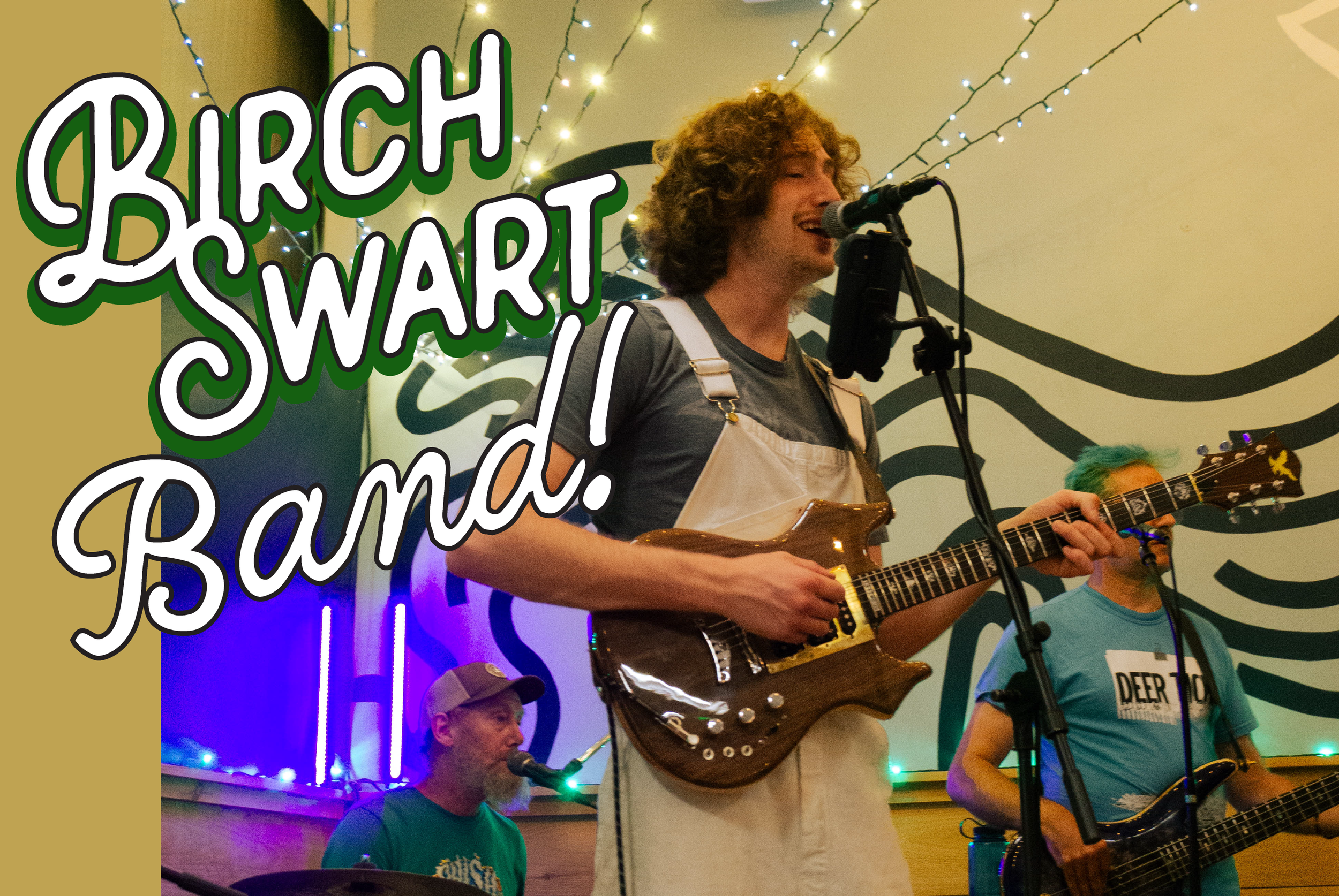 The Birch Swart Band