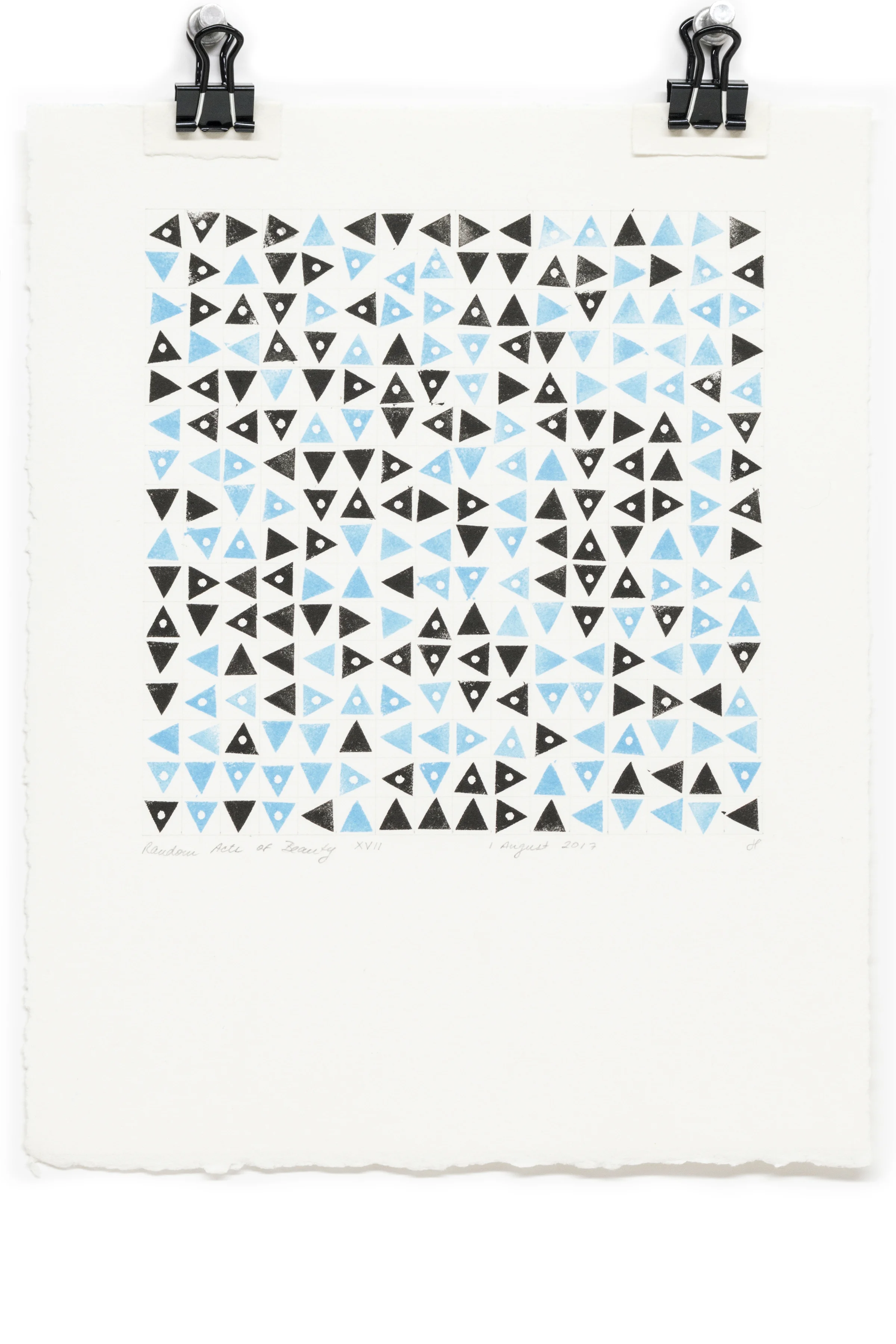 Random Acts of Beauty XVII