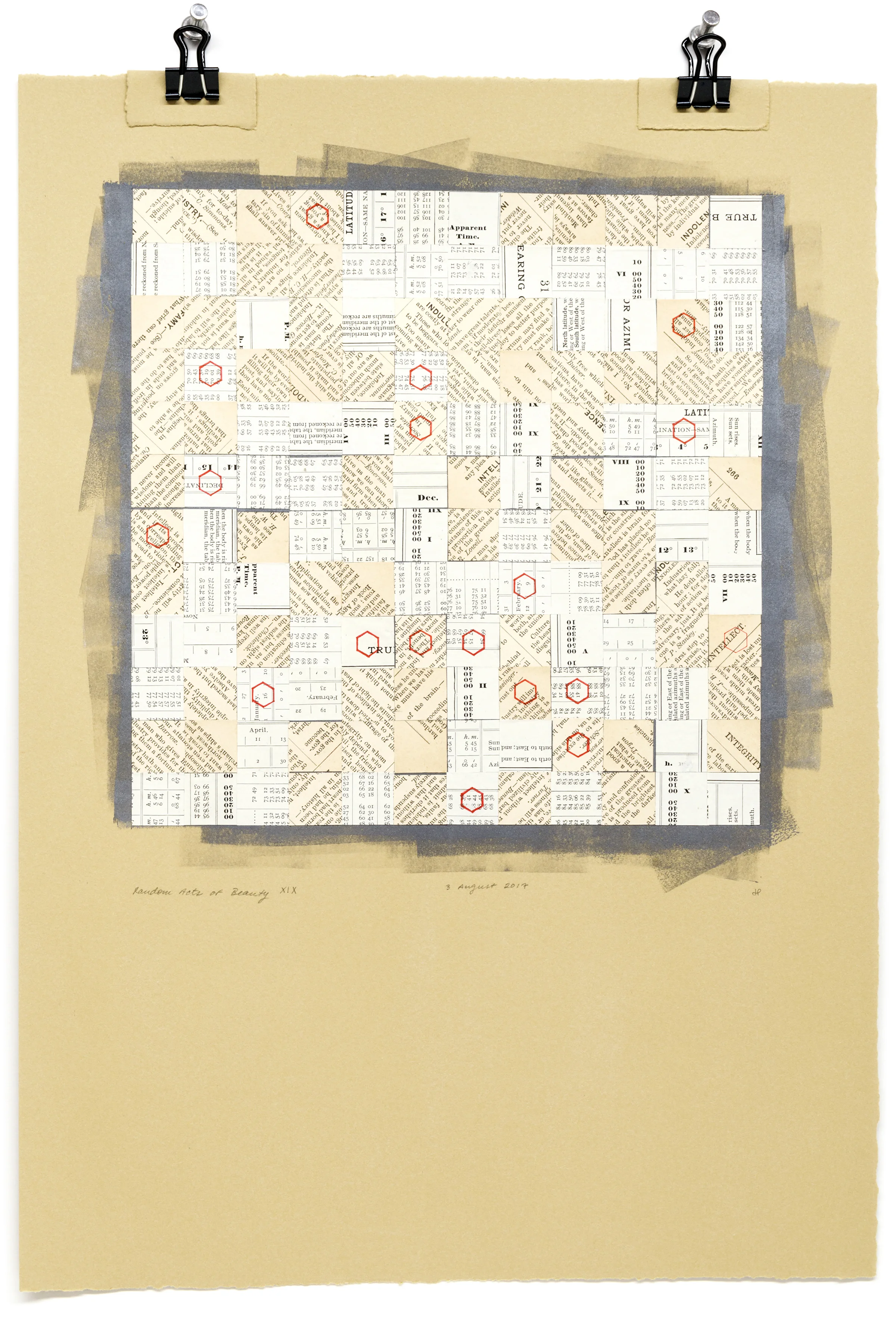 Random Acts of Beauty XIX