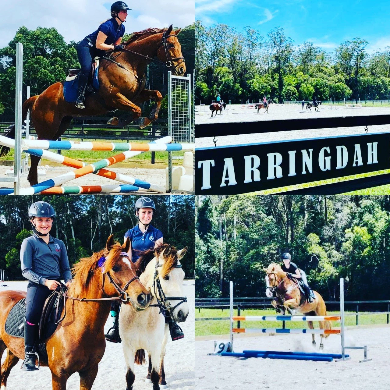 Next Clinic - Saturday 7 May 2022