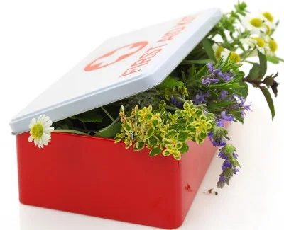 firstaidherb startingpointacupuncture.jpg