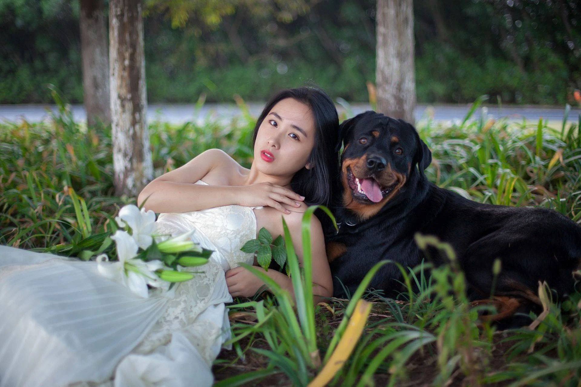 bride%20and%20rotti.jpg