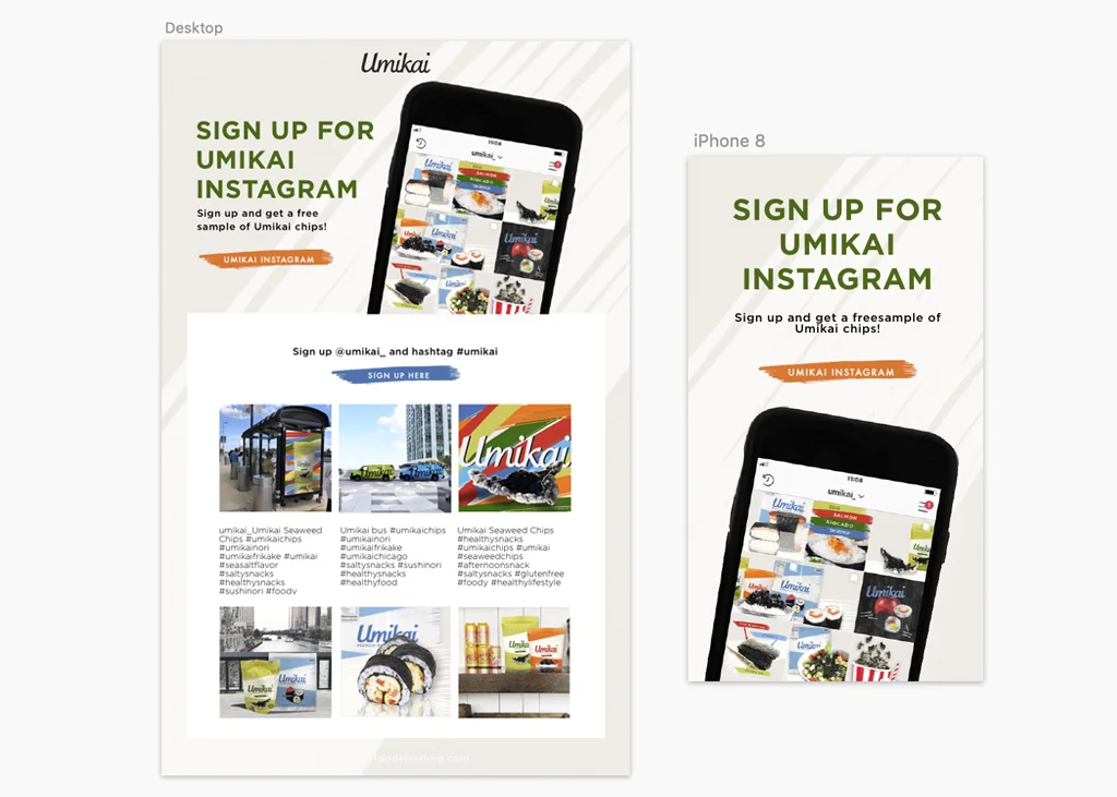 UMIKAI NEWSLETTER