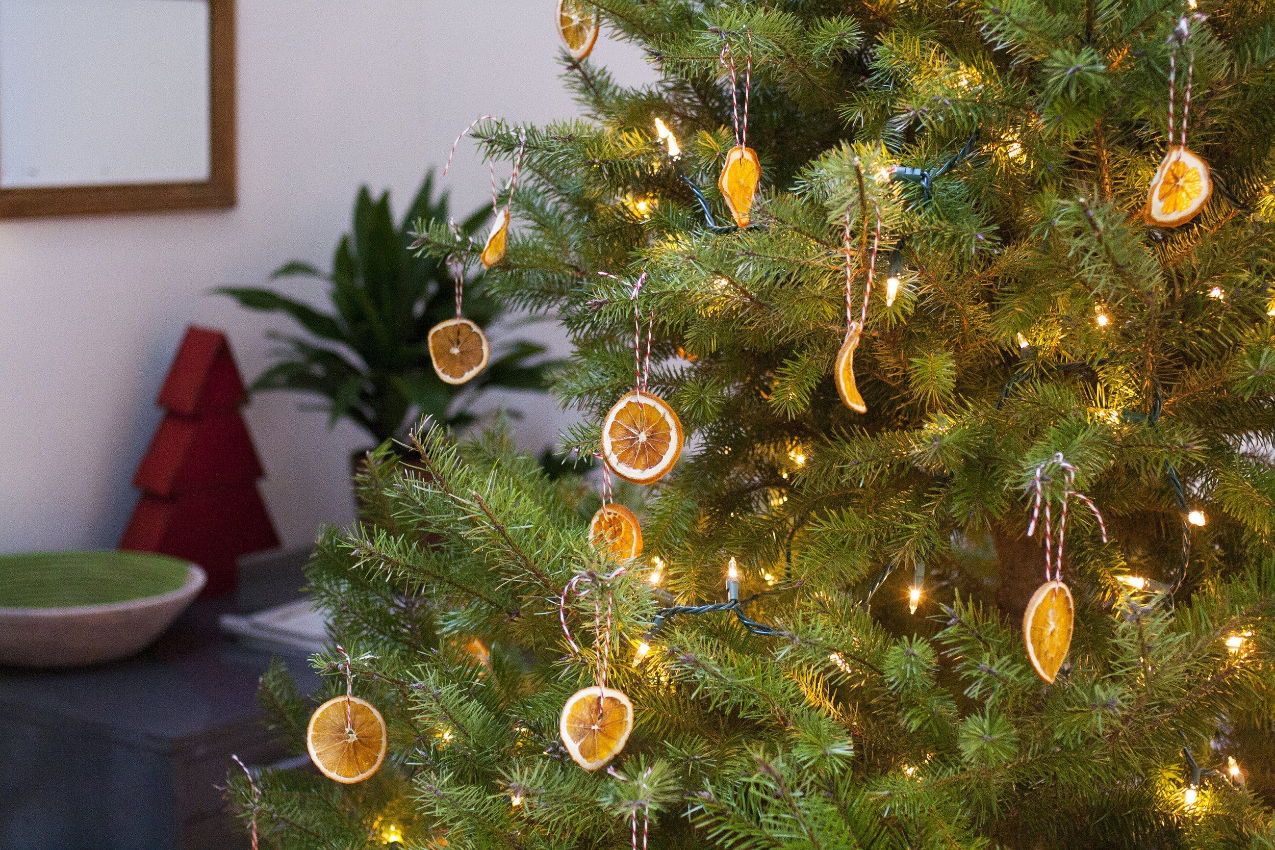 Recipe: Dried Orange Ornaments — Maria Zizka
