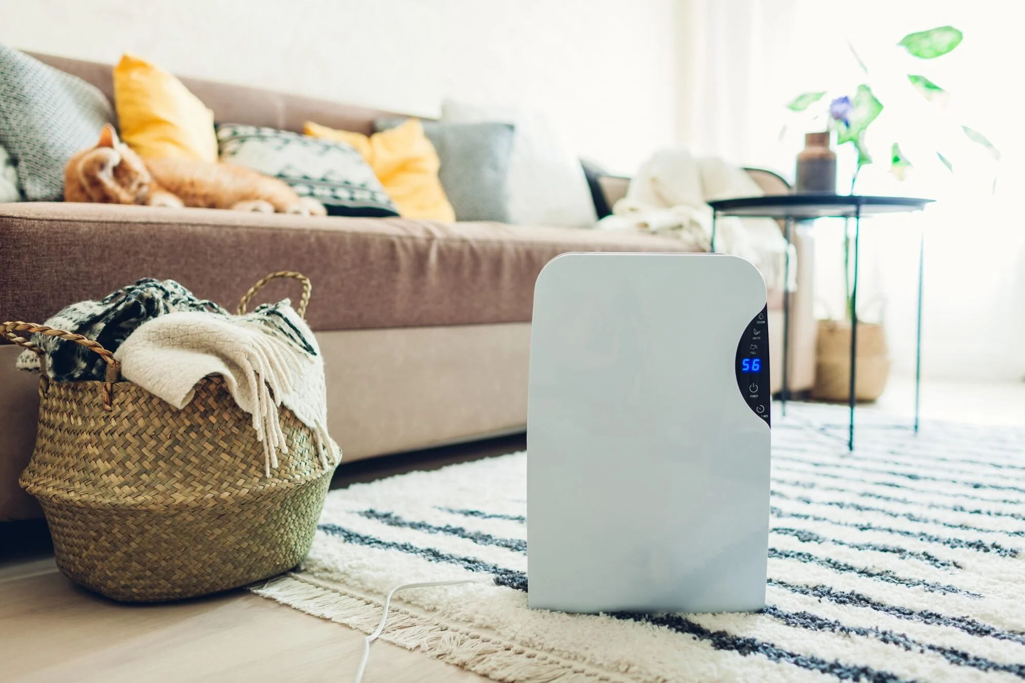 Are Air Purifiers Effective Against the Coronavirus?