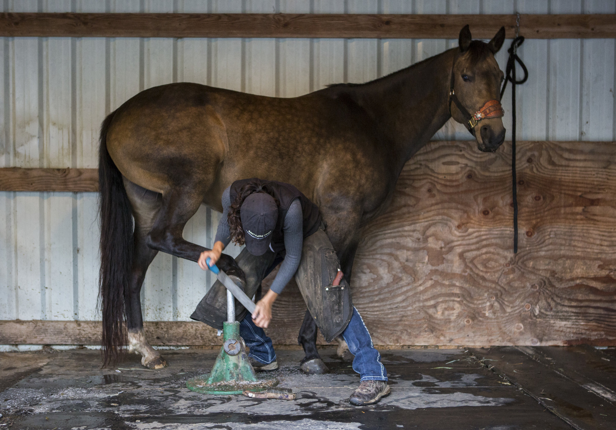 Miranda_pkg1Farrier05.jpg