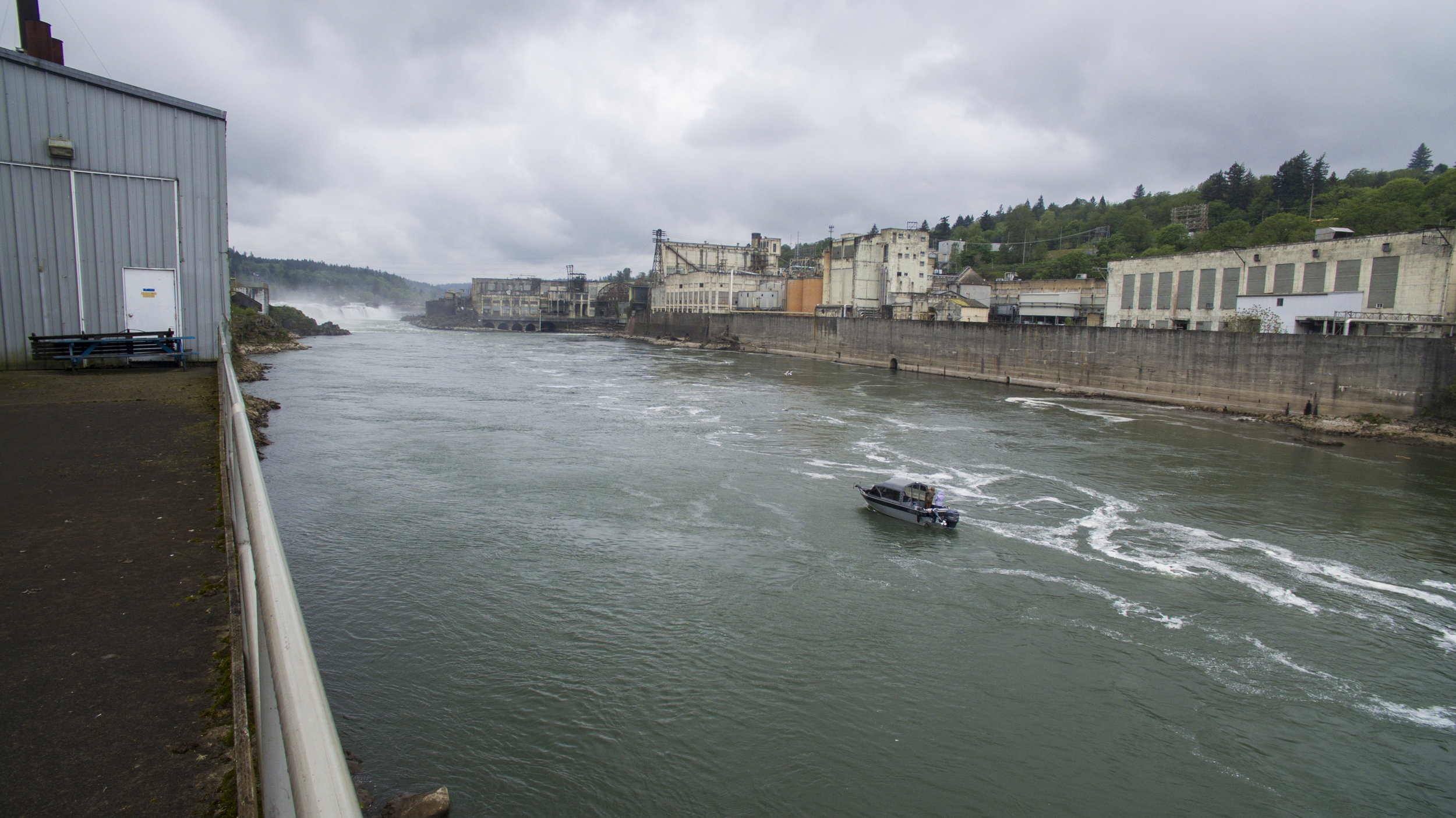 WillametteFalls03.jpg