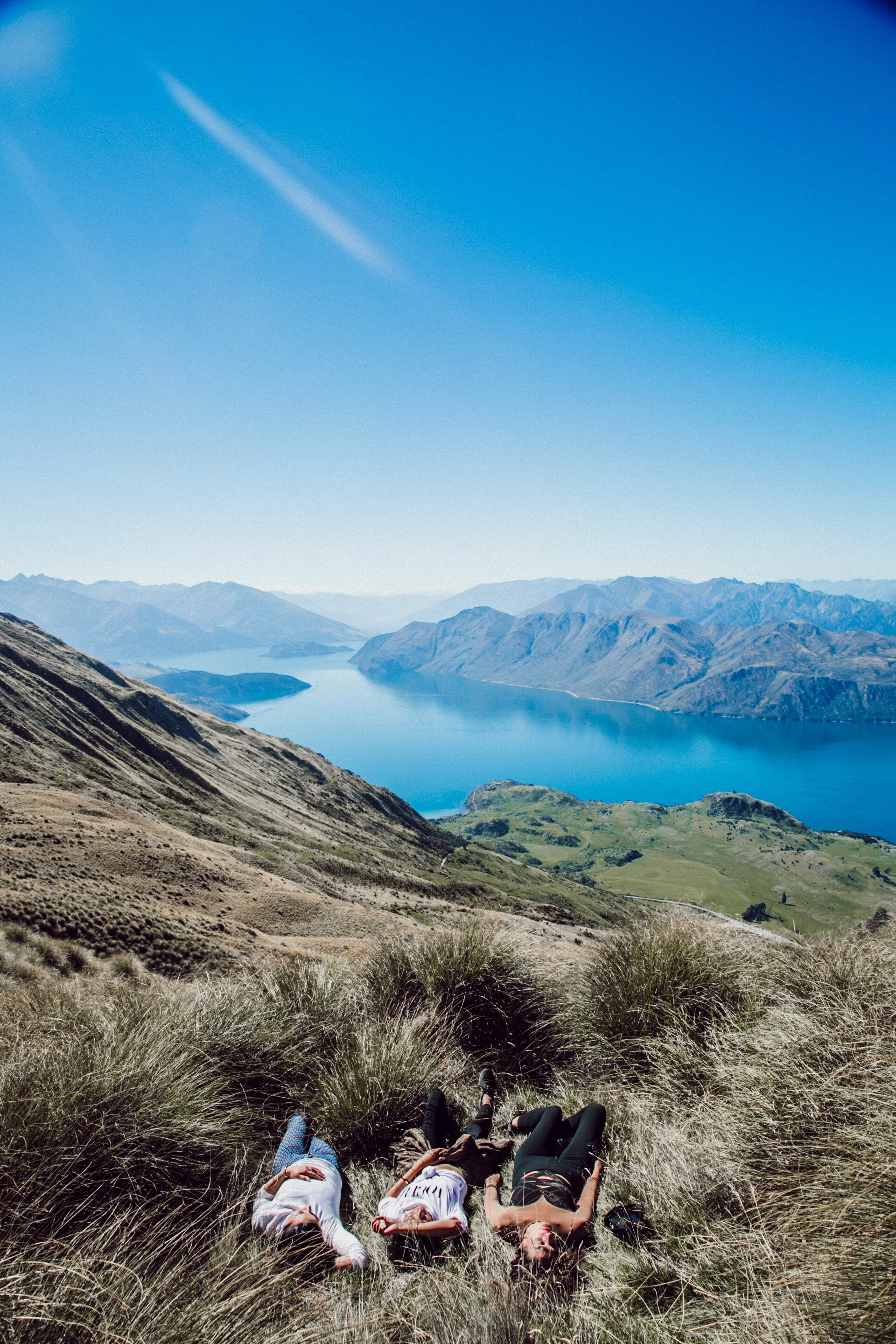 NEW ZEALAND_NICOLEWARNE_-58.jpg