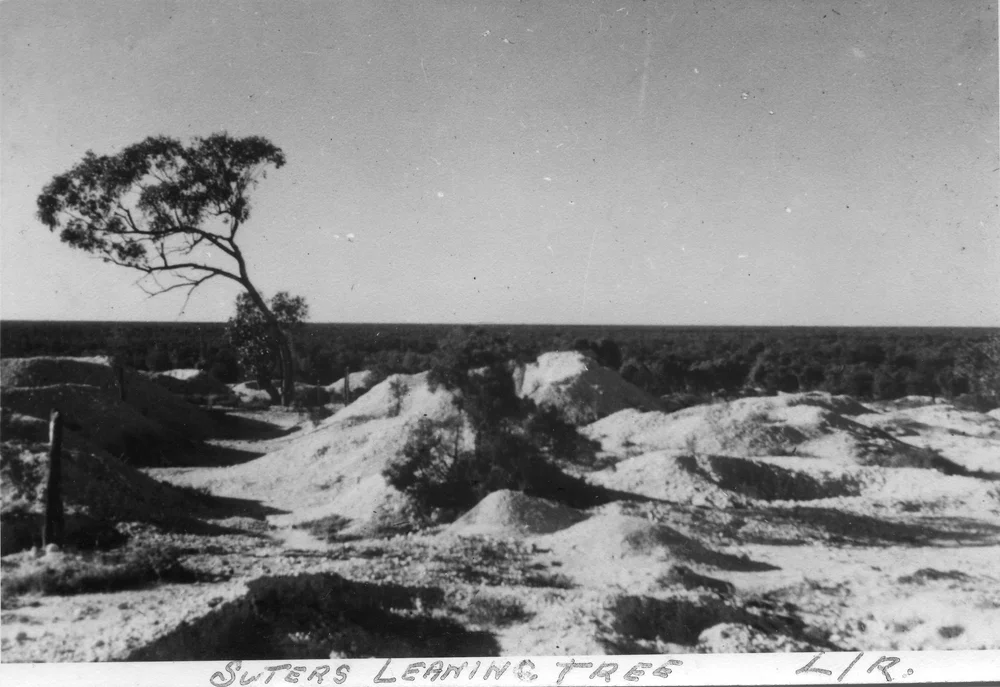 Lightning Ridge Opal Fields — Opal Academy