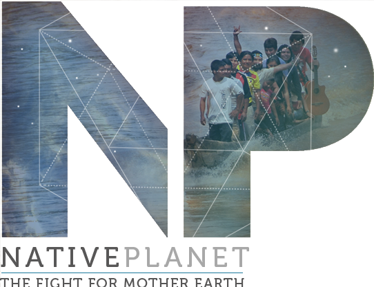 NP-footer-logo@2x.png