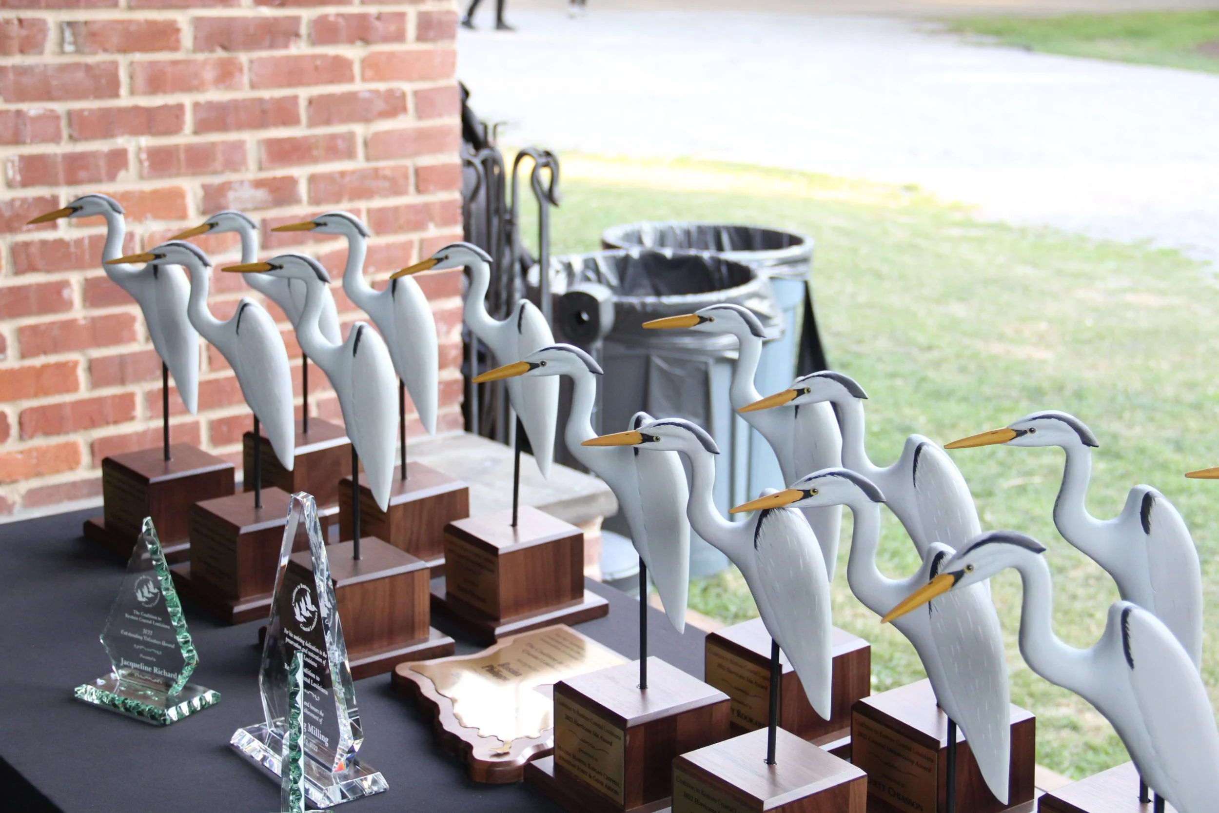 Lowlander Director Kristina Peterson Wins Coastal Stewardship Award