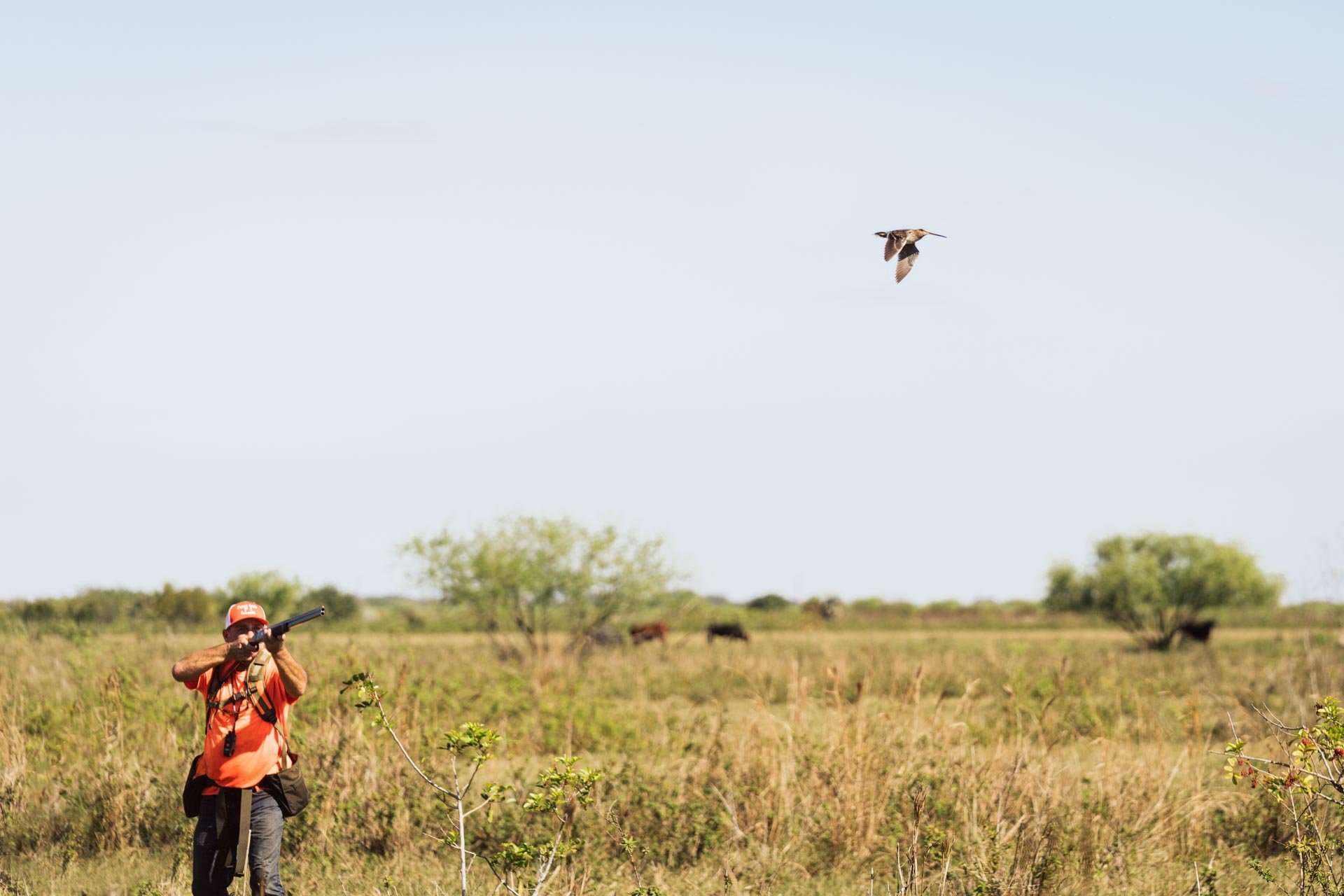 Hunting Web Gallery--3.jpg