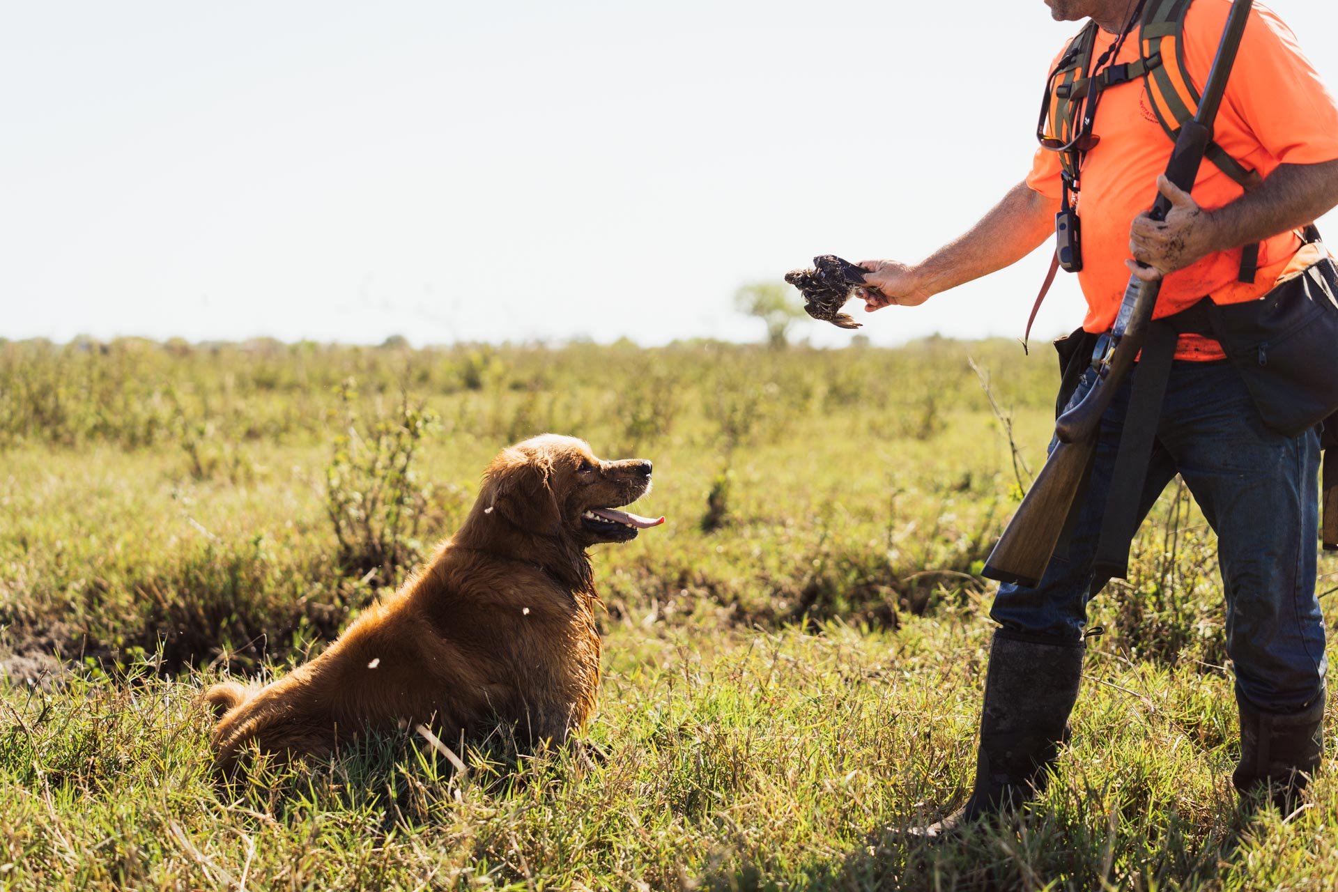 Hunting Web Gallery-02540.jpg