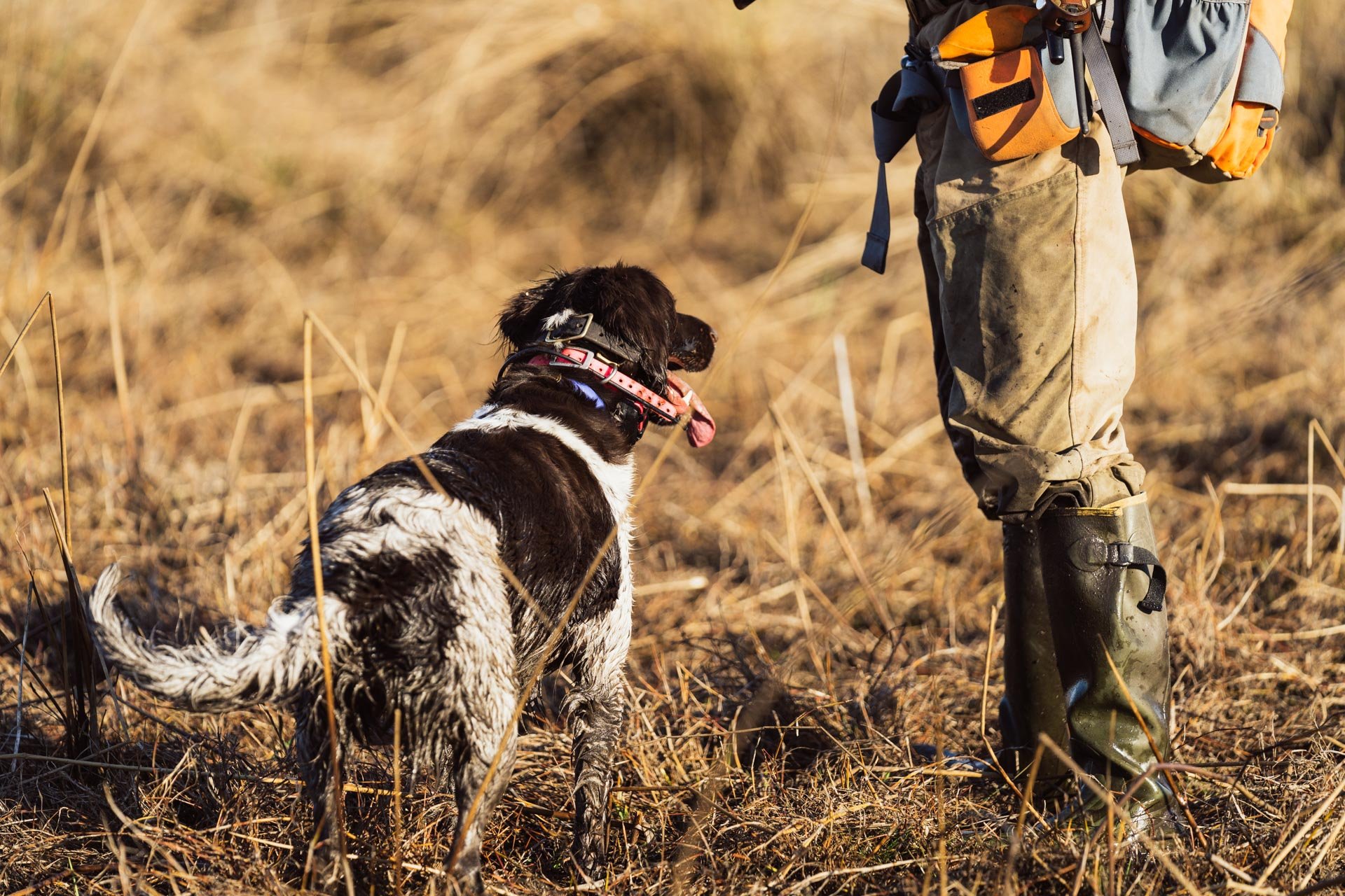 Hunting Web Gallery-03959.jpg