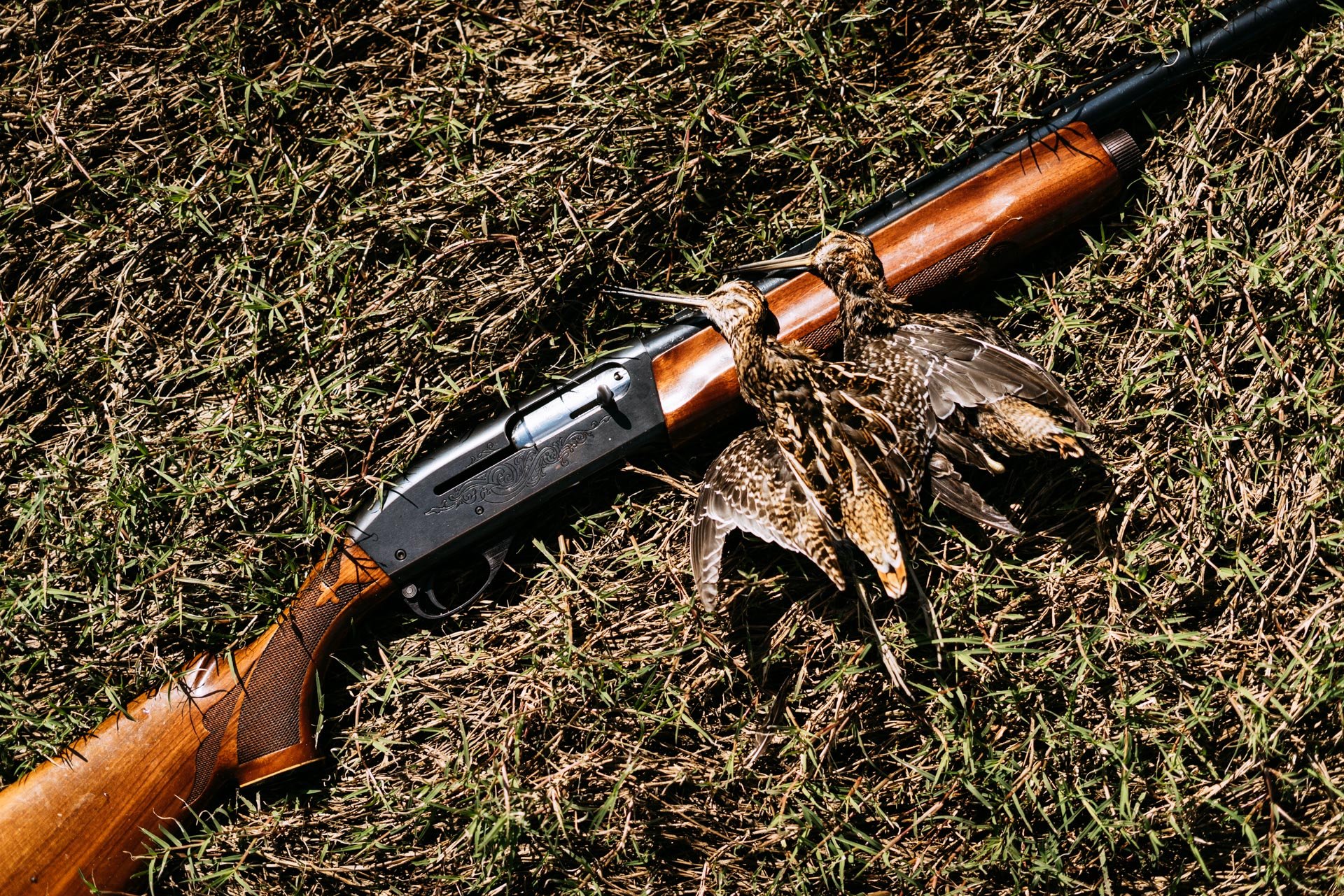 Hunting Web Gallery-07320.jpg