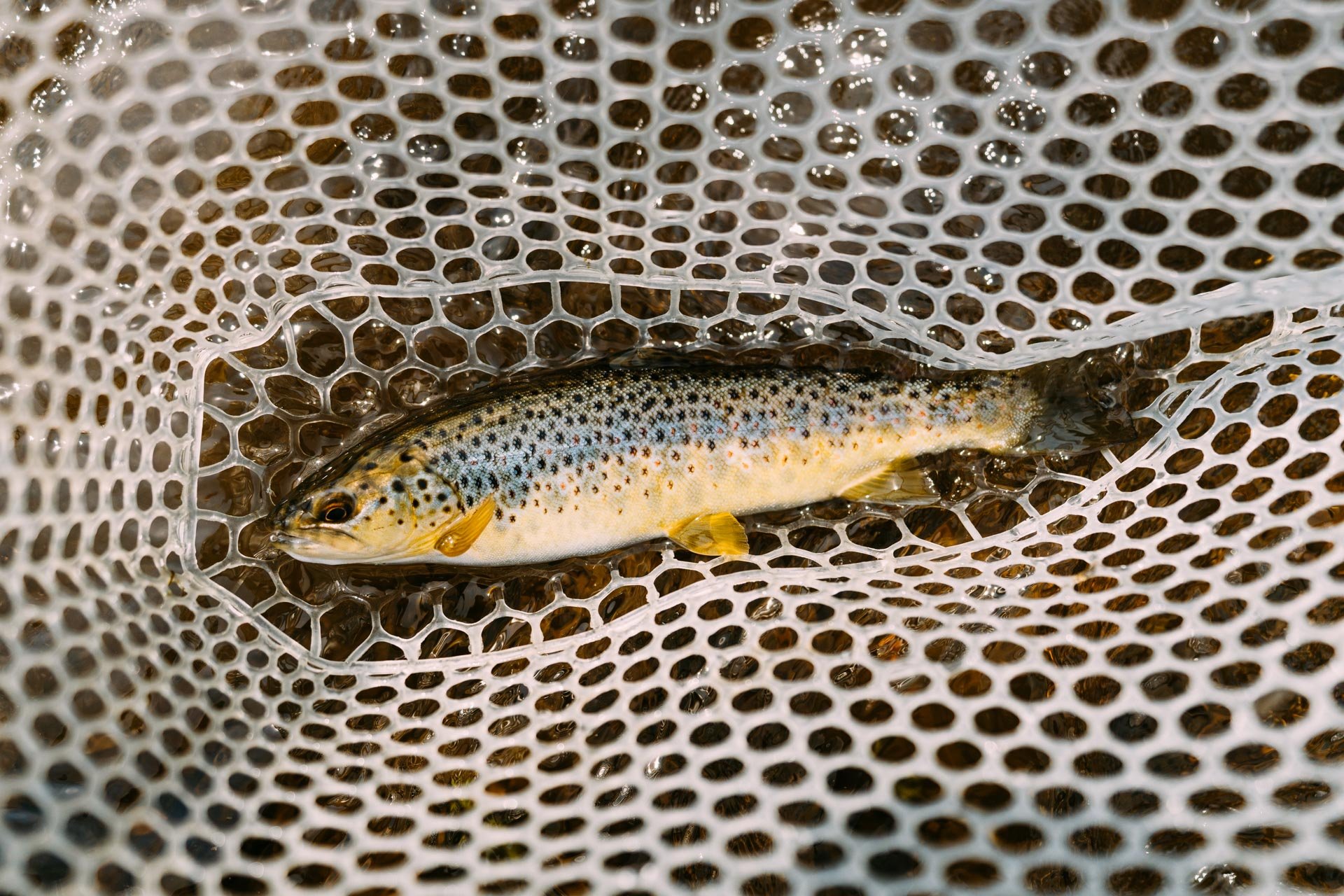 Fishing Web Gallery-04439.jpg