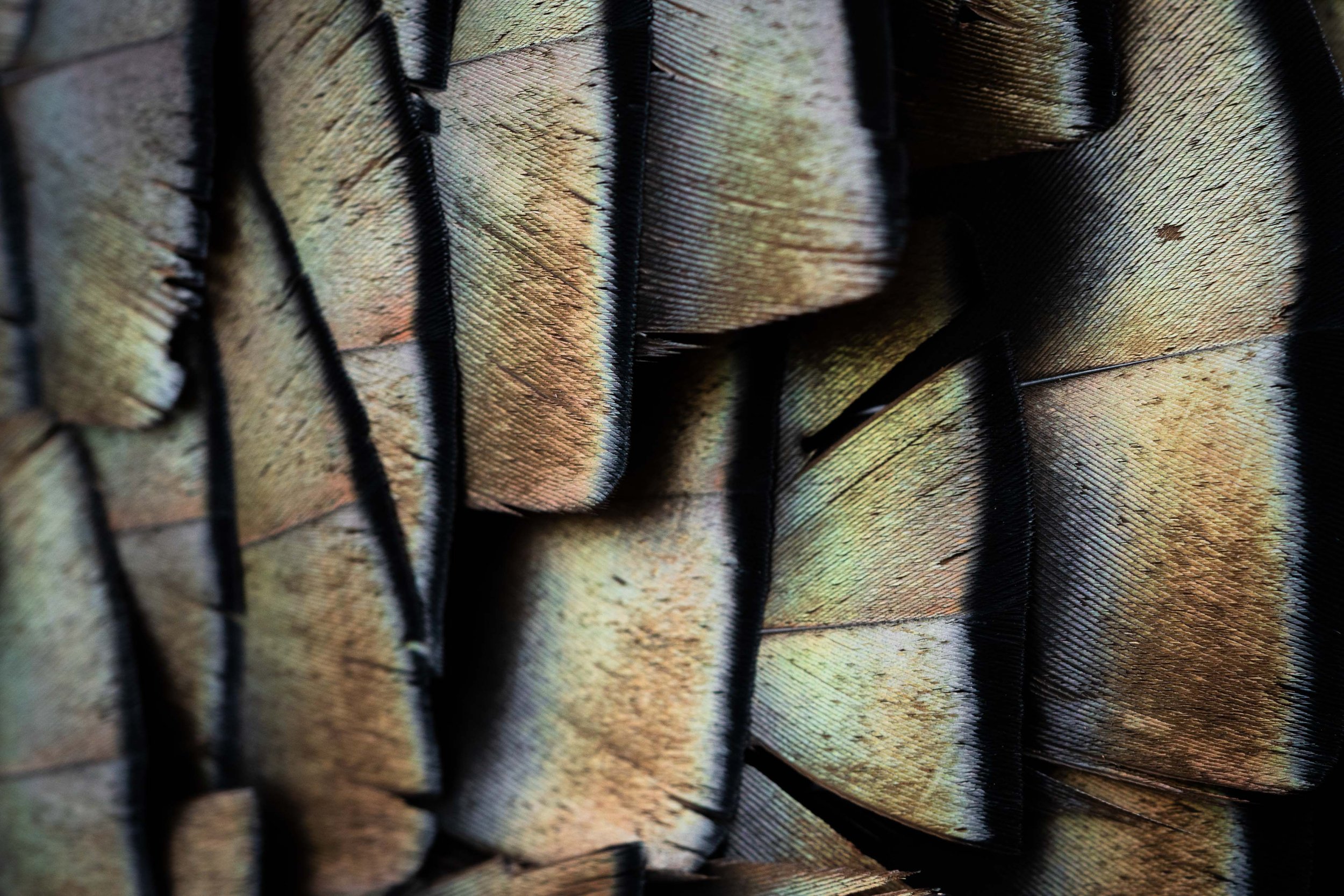 Turkey Gallery (15 of 52).jpg