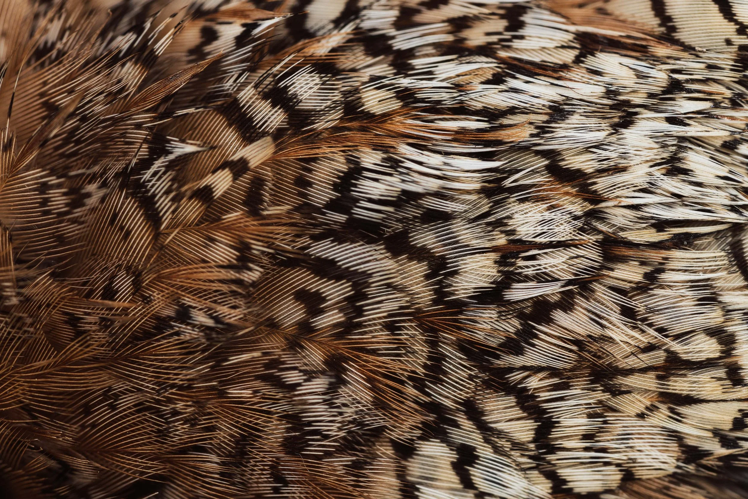 Upland Gallery (27 of 35).jpg