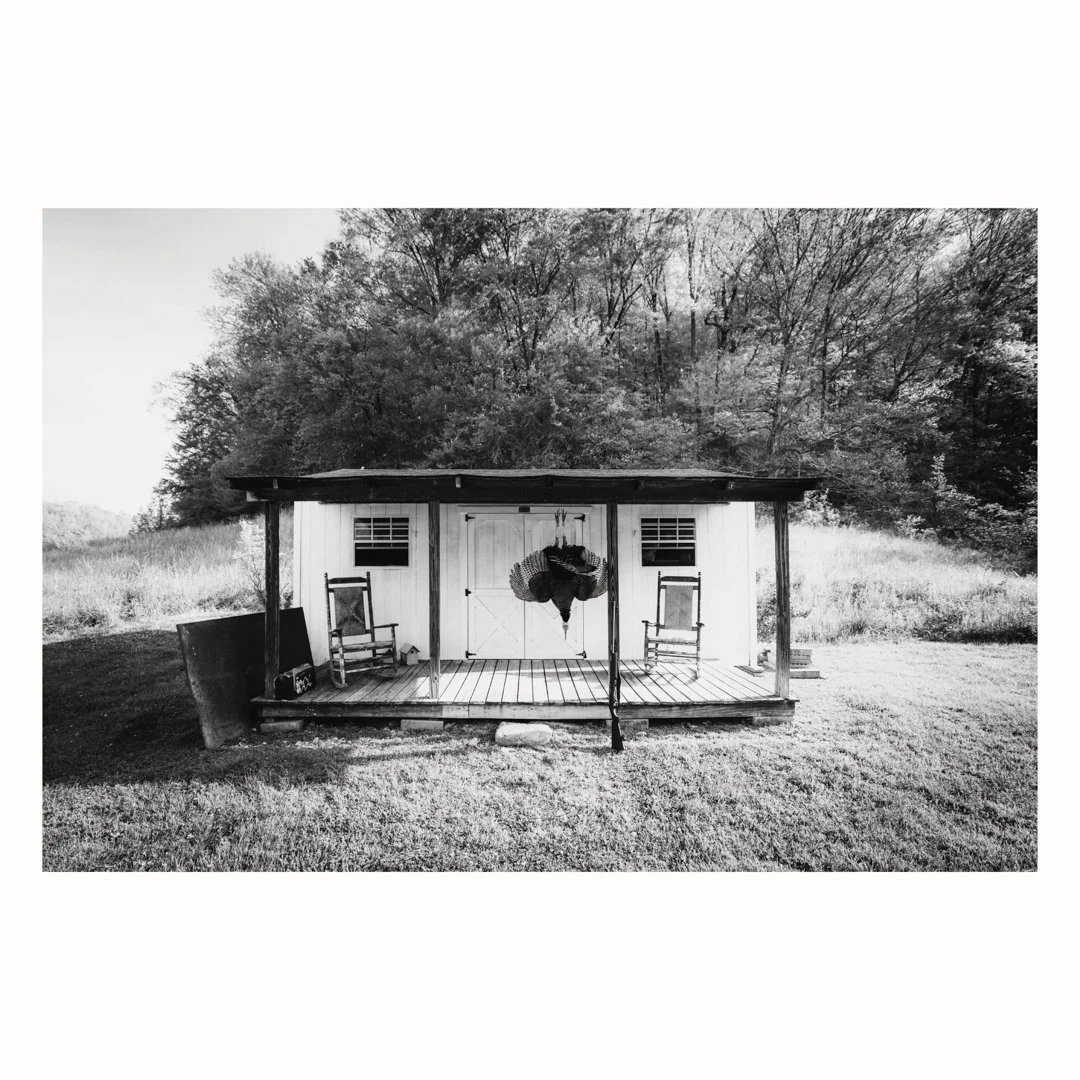 Eastern Porch Longbeard