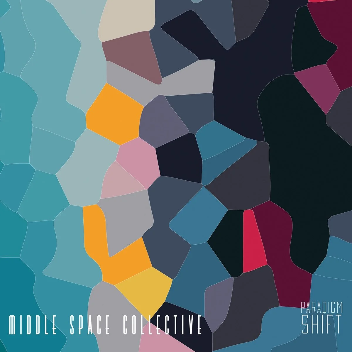 Middle Space Collective – Paradigm Shift, 2014