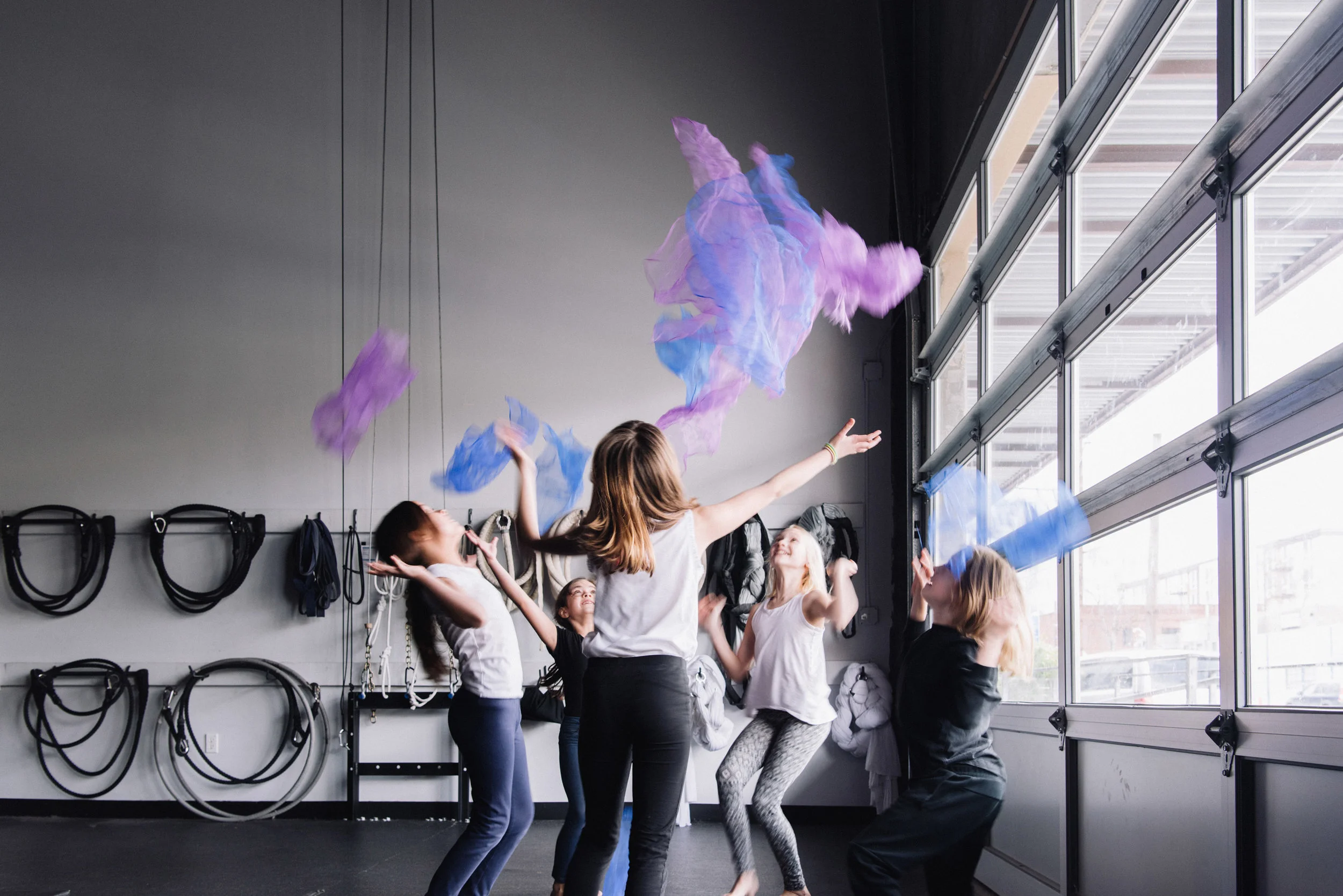 The Circus Project