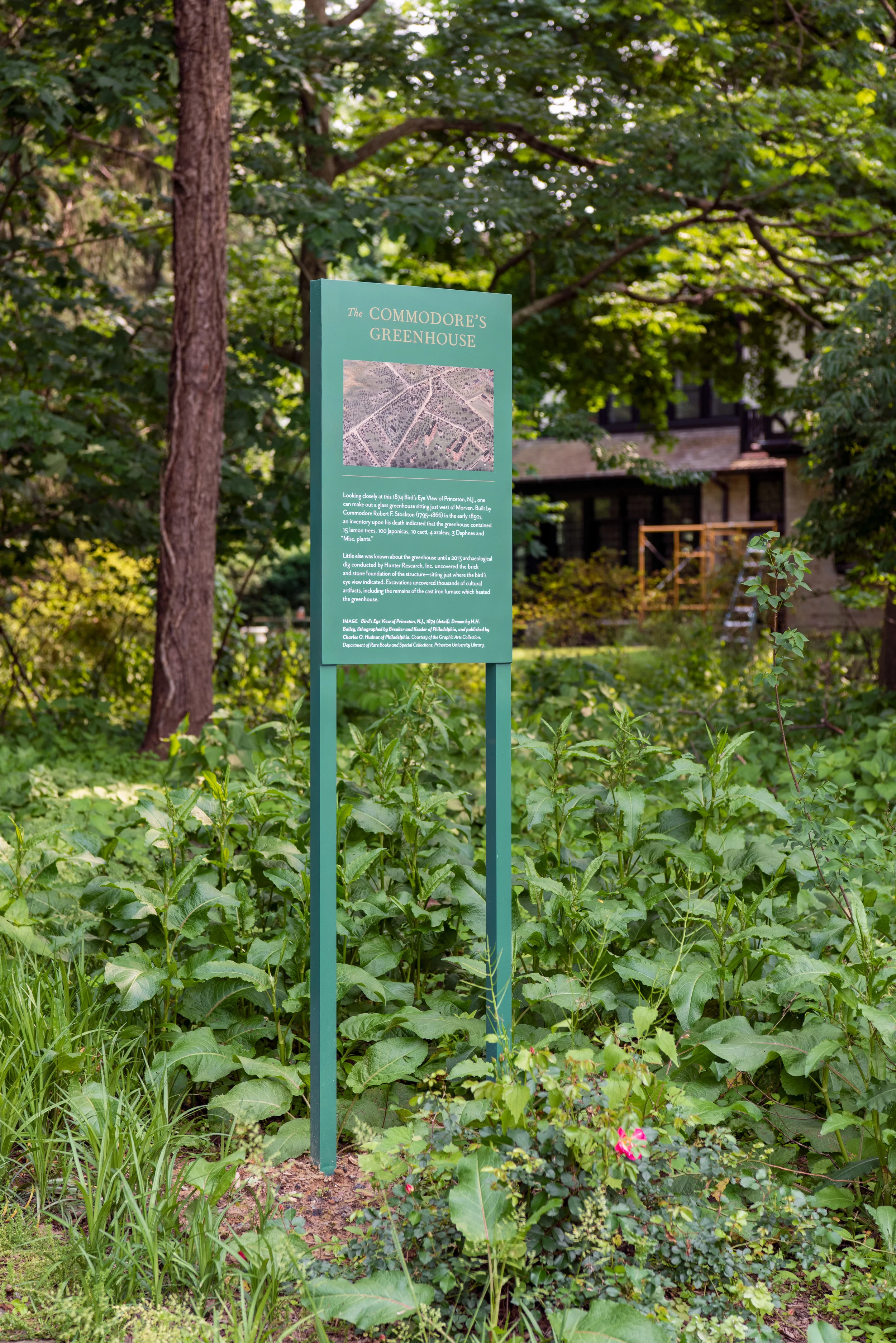 DSC_0460.jpg