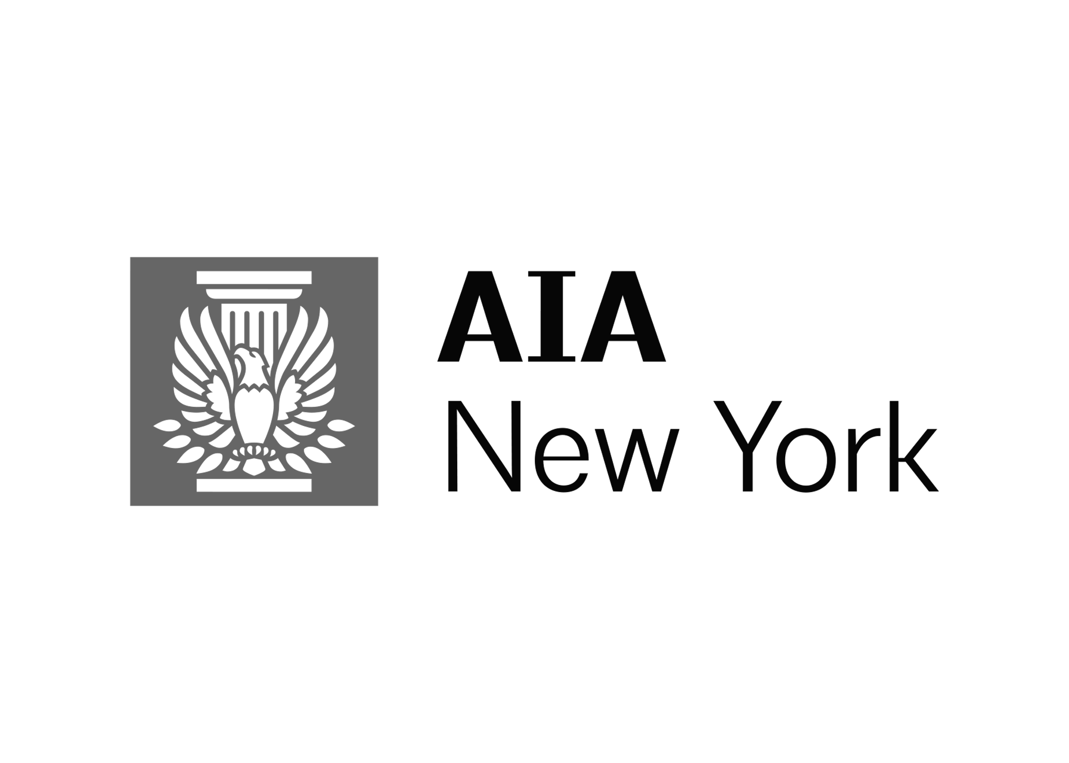 aiany_logo.png