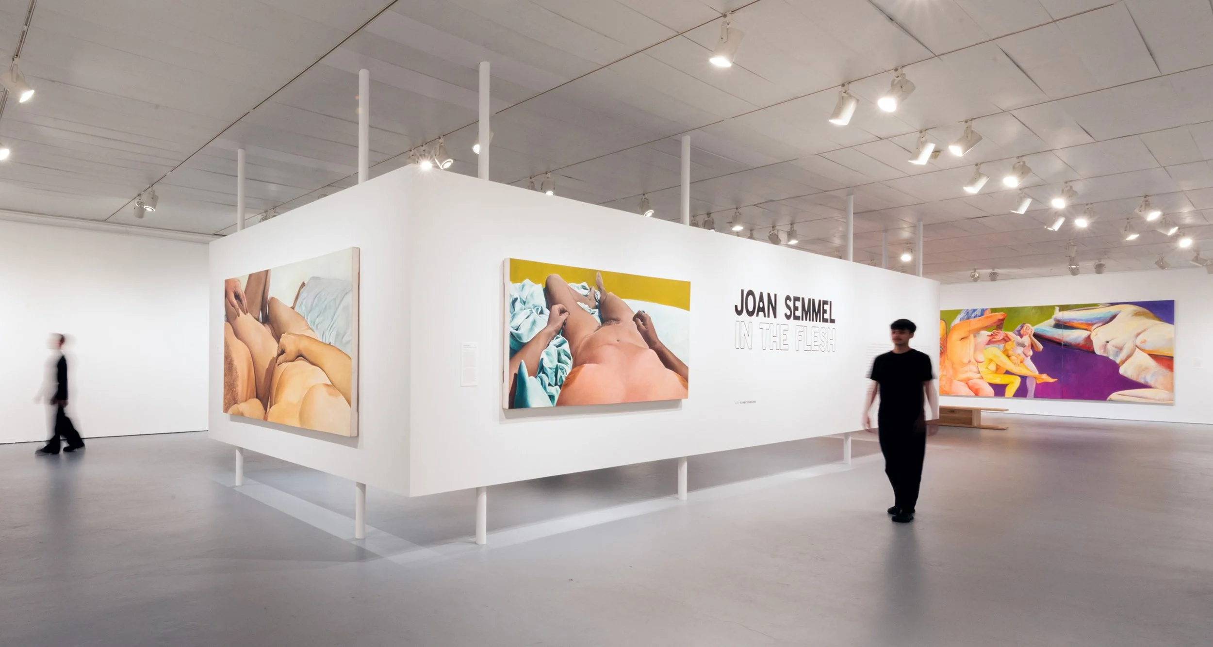 Joan Semmel: In the Flesh