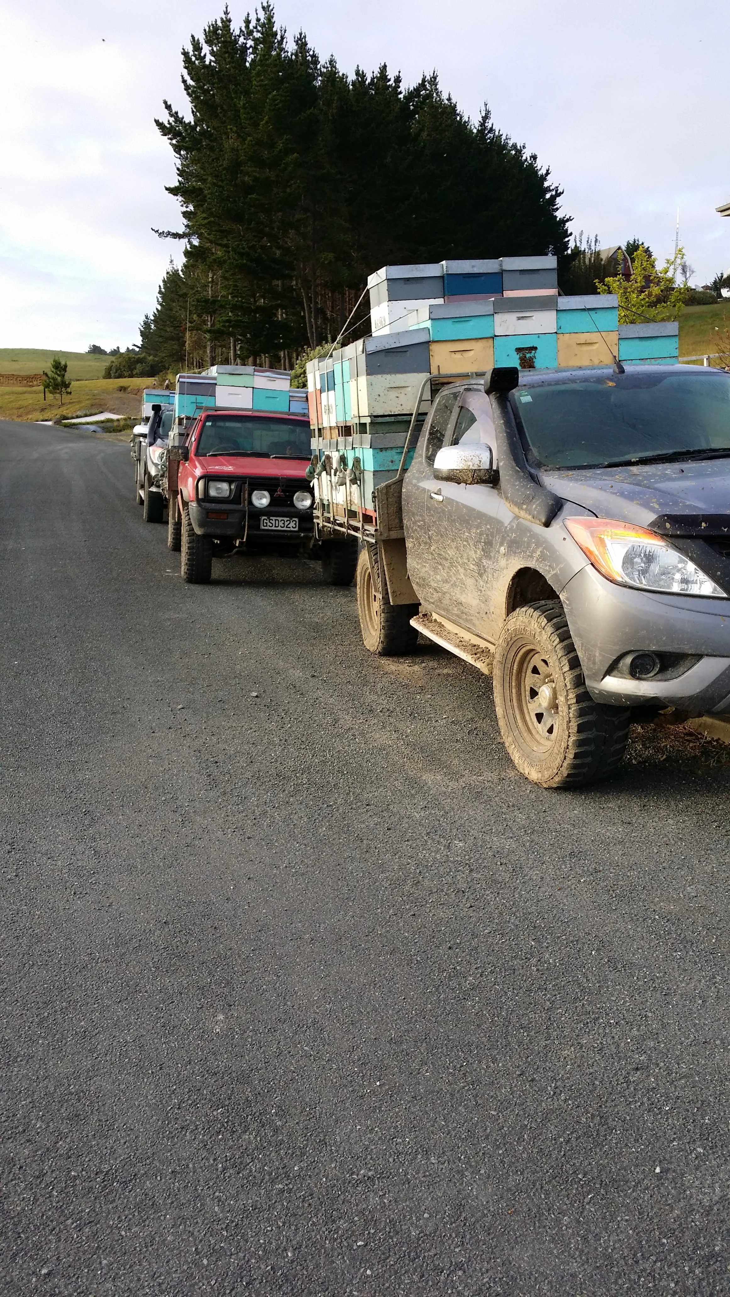 2014 - And We're Off ...........