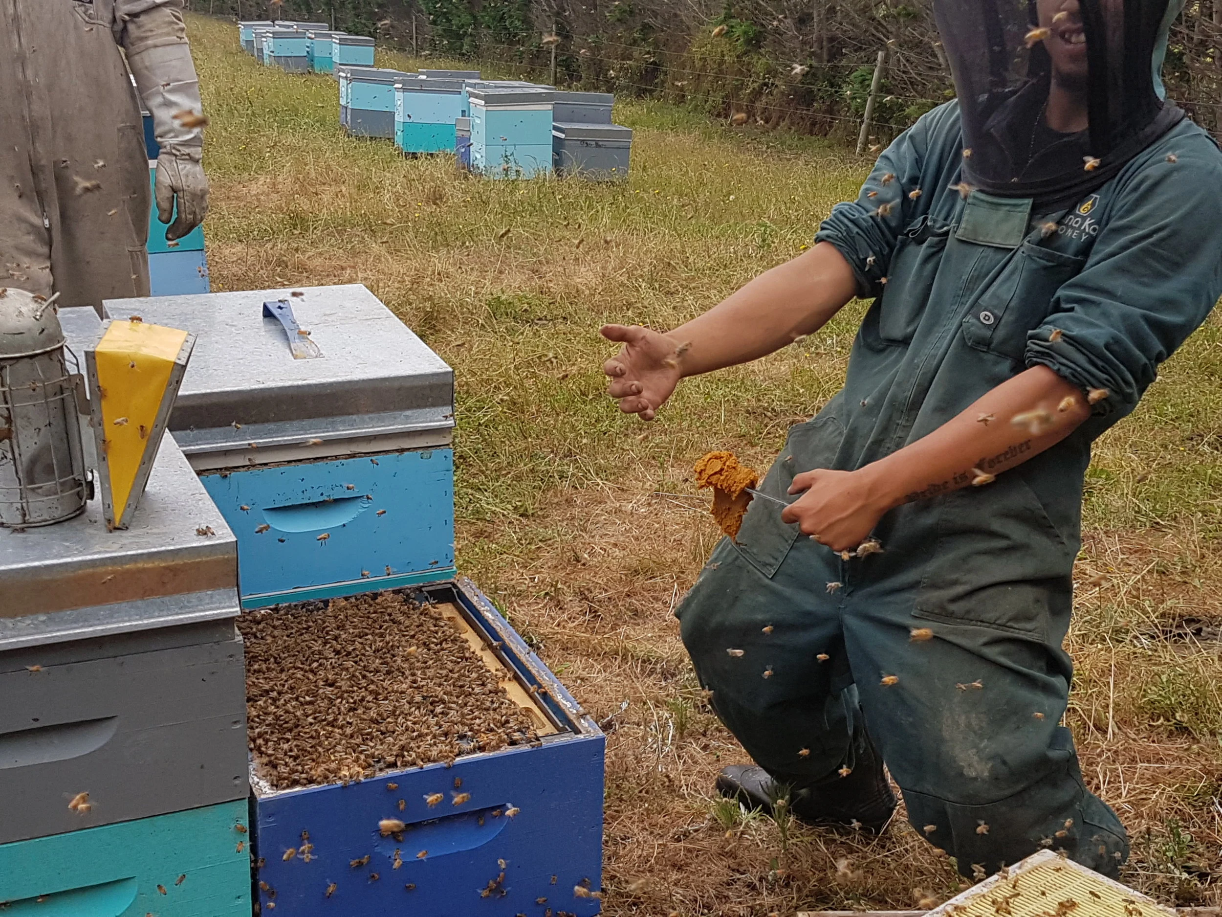 2016 - Mana Kai Beekeeping Boys